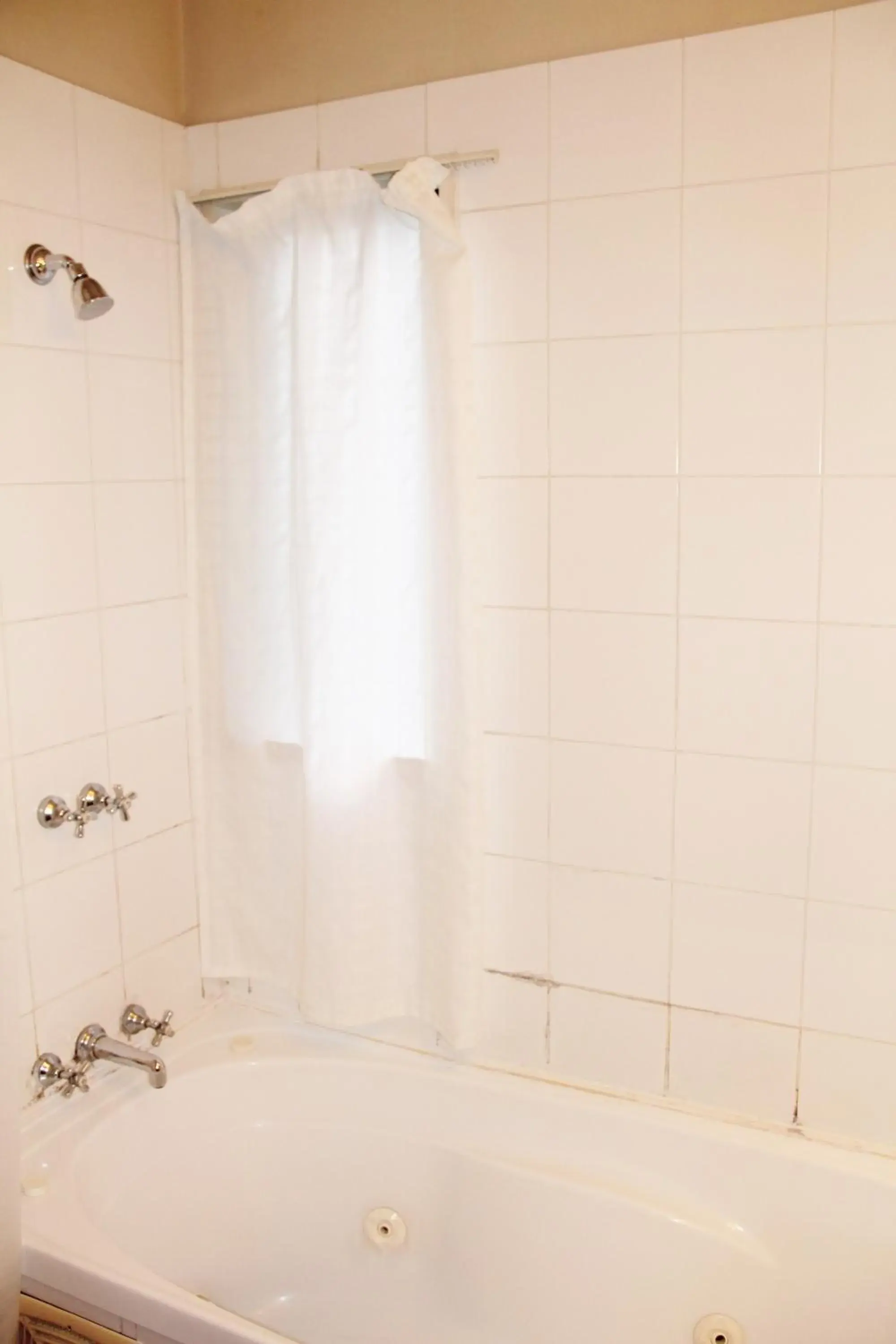 Shower, Bathroom in Bush Inn Court Motel