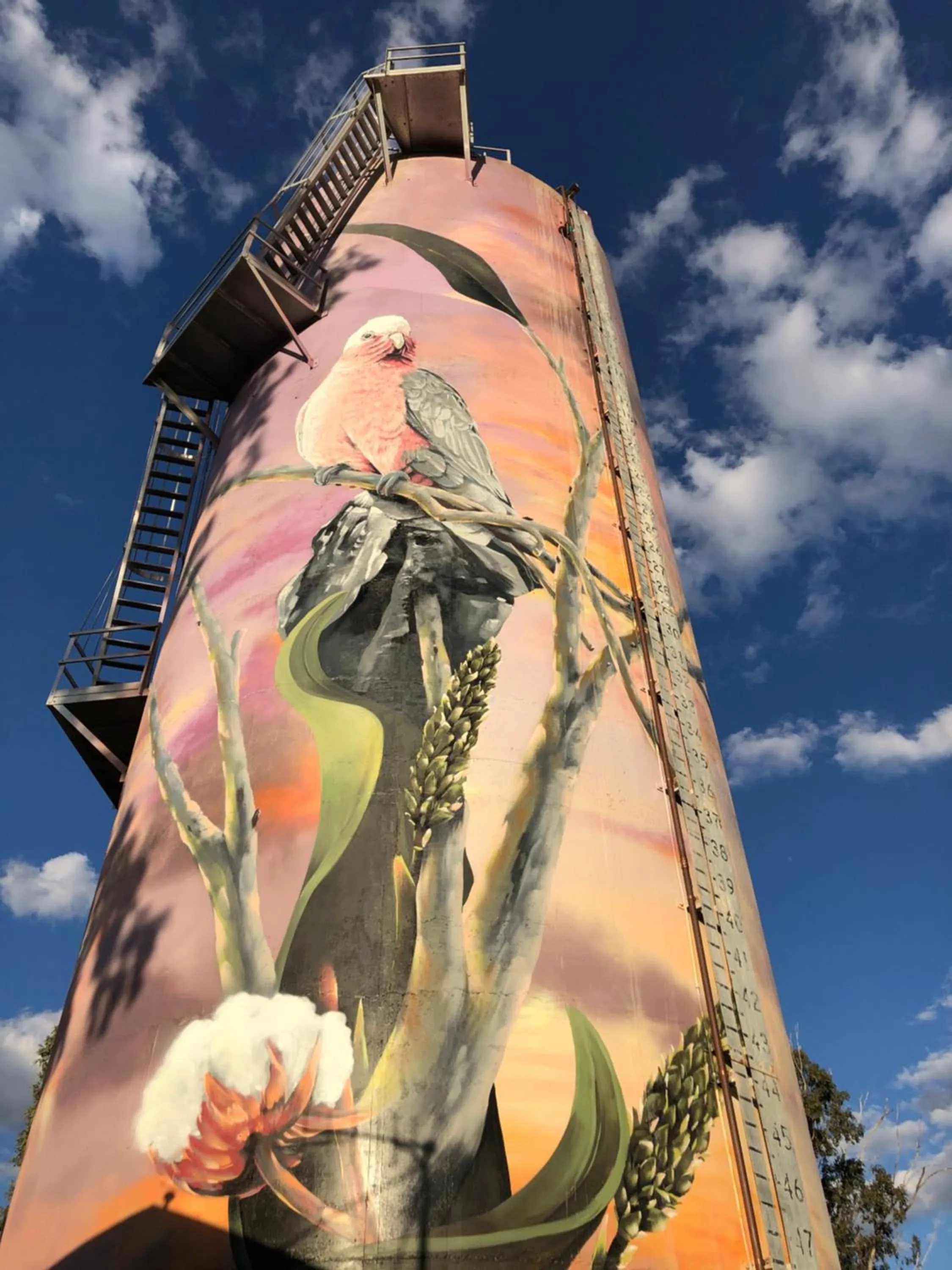 Nearby landmark in Moura Motel