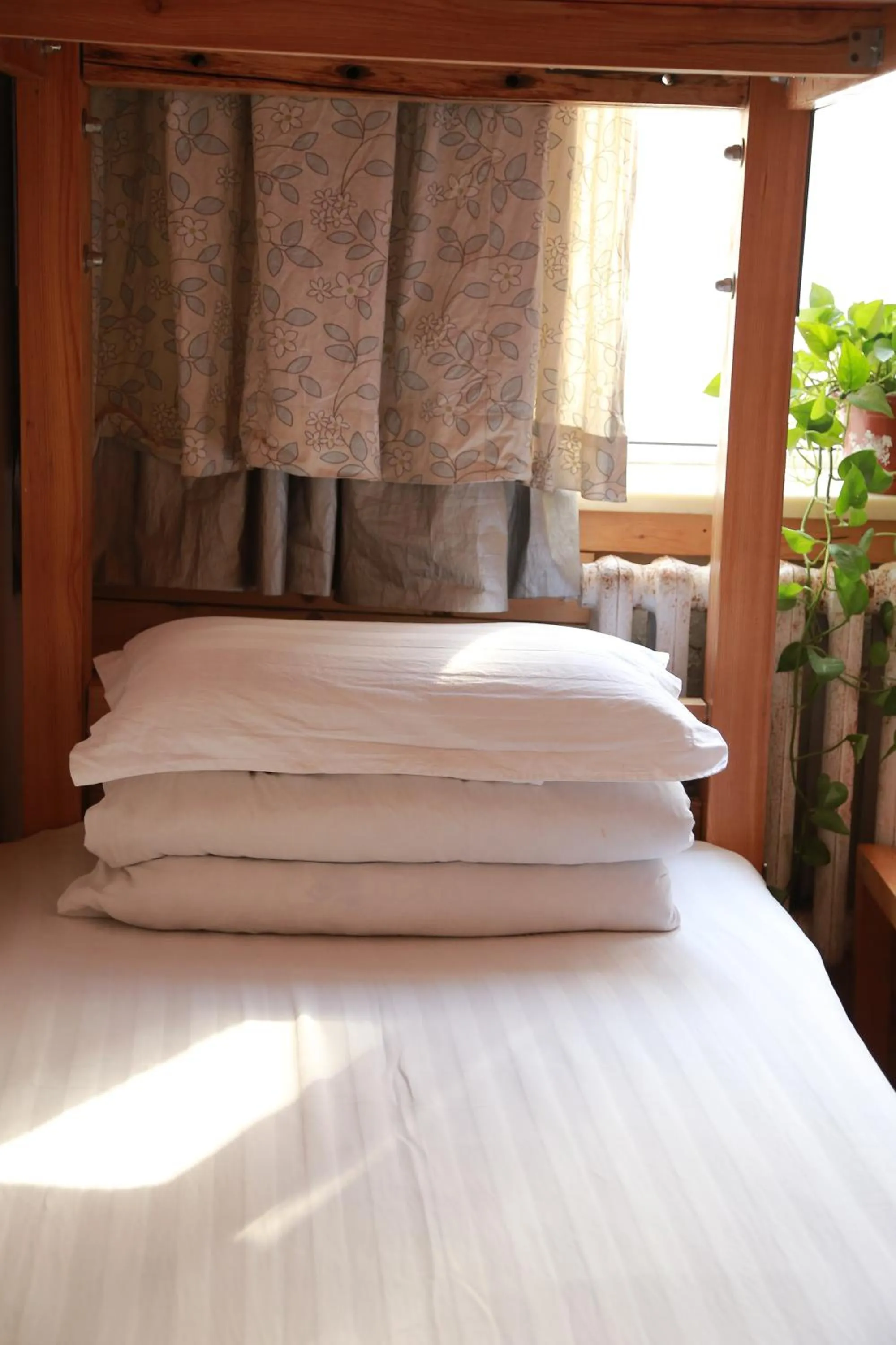 Spring, Bed in Harbin North International Youth Hostel