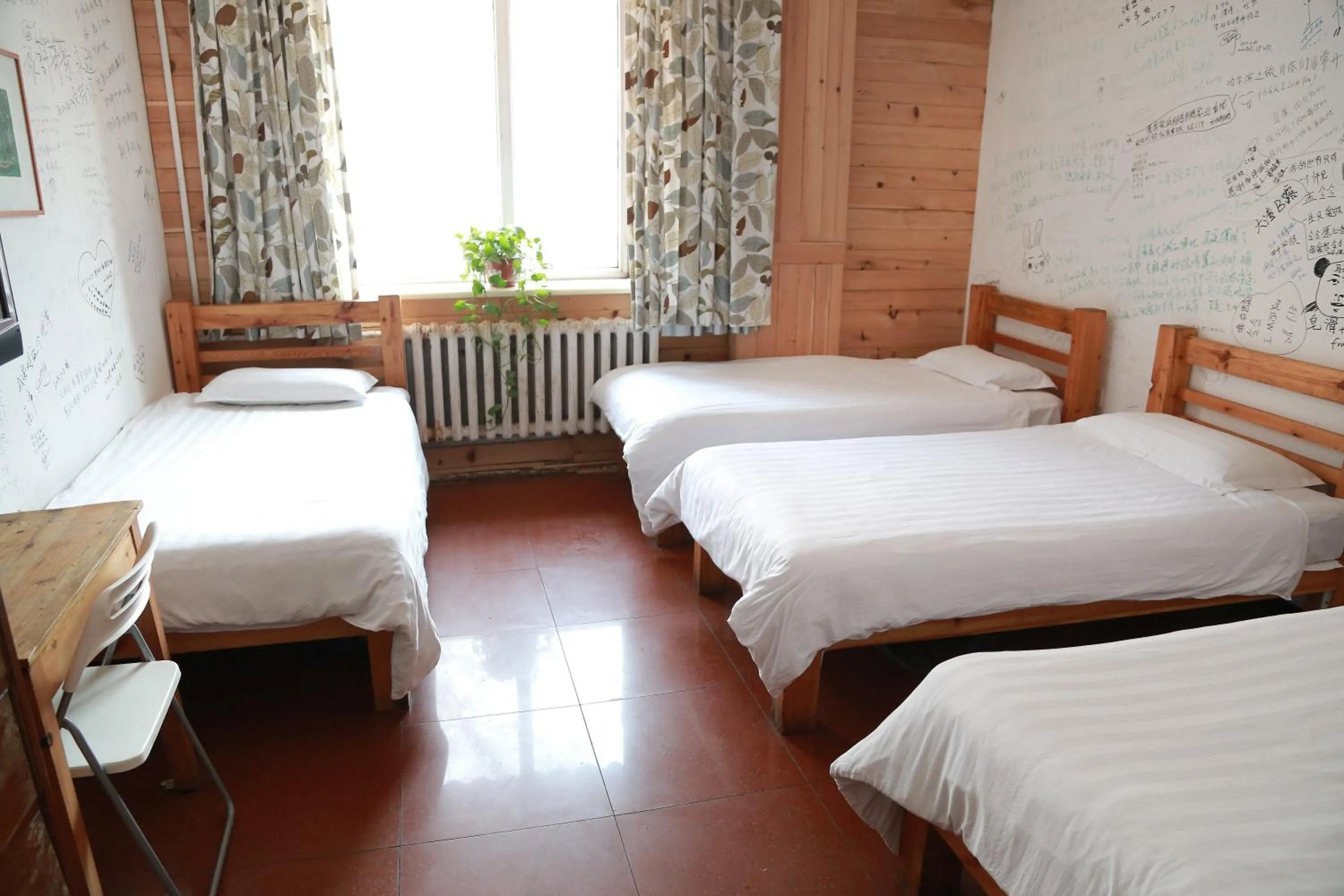 Spring, Bed in Harbin North International Youth Hostel
