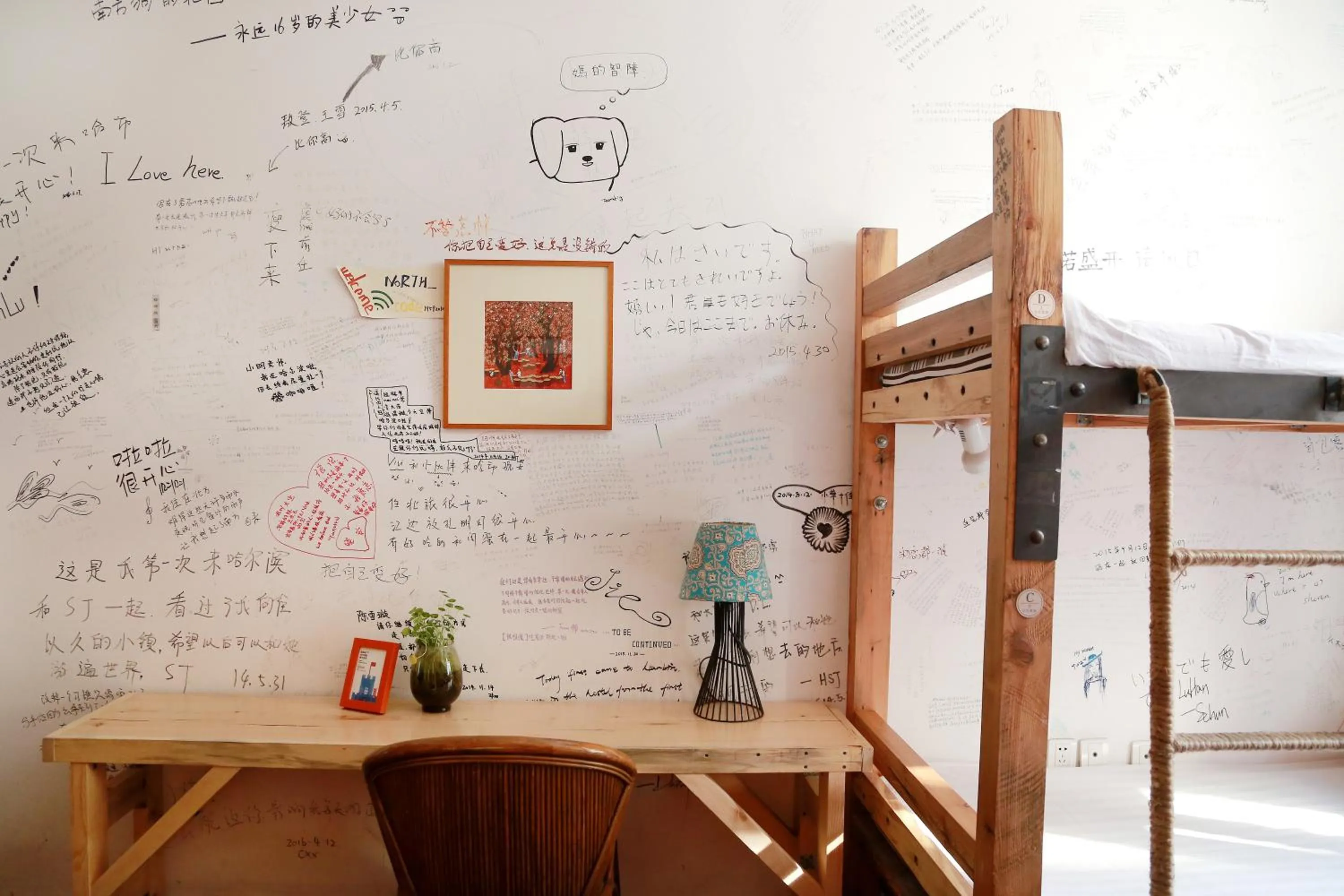 Photo of the whole room, Bed in Harbin North International Youth Hostel