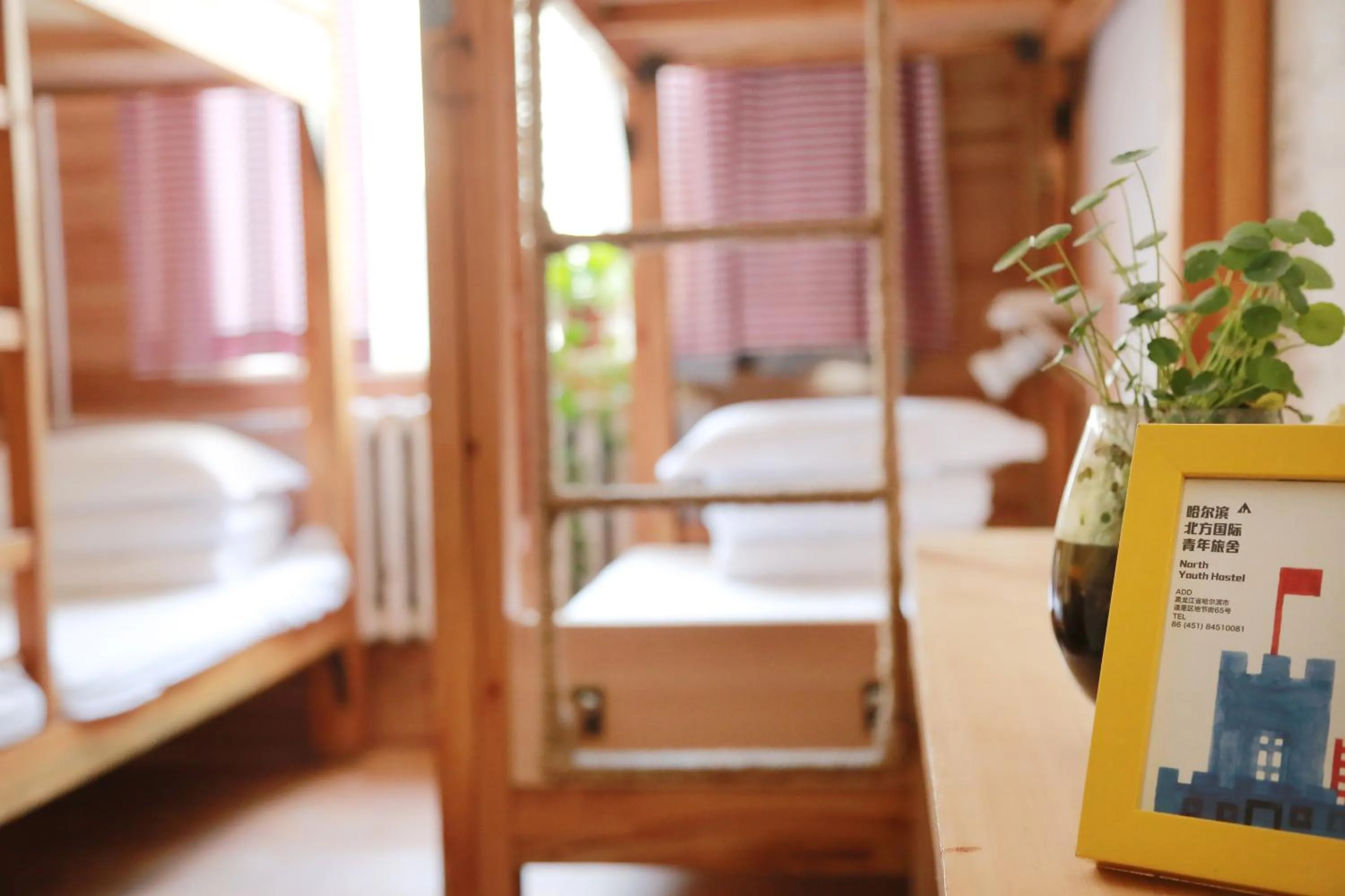 Spring, Bed in Harbin North International Youth Hostel