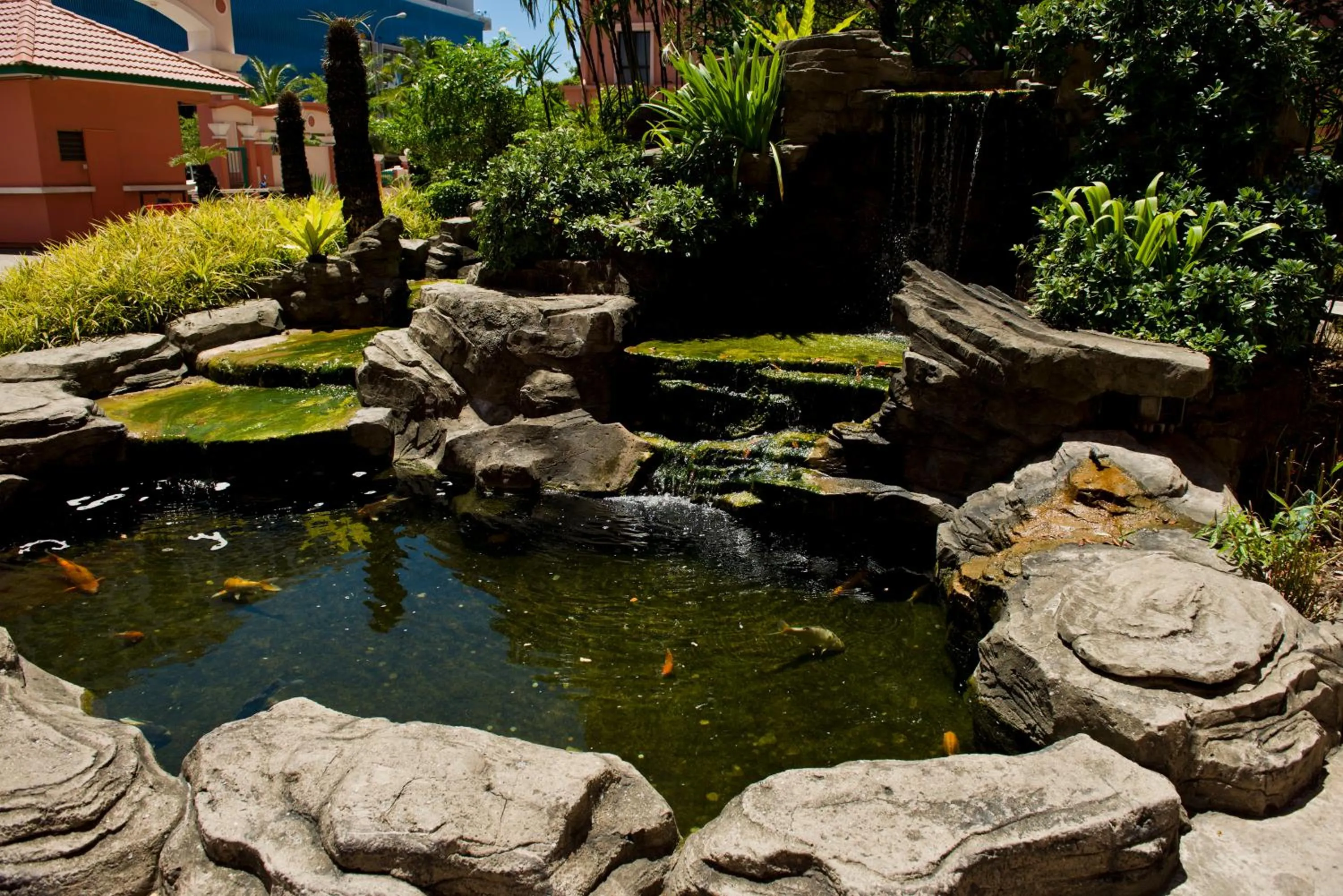 Day in Nana Marina Court