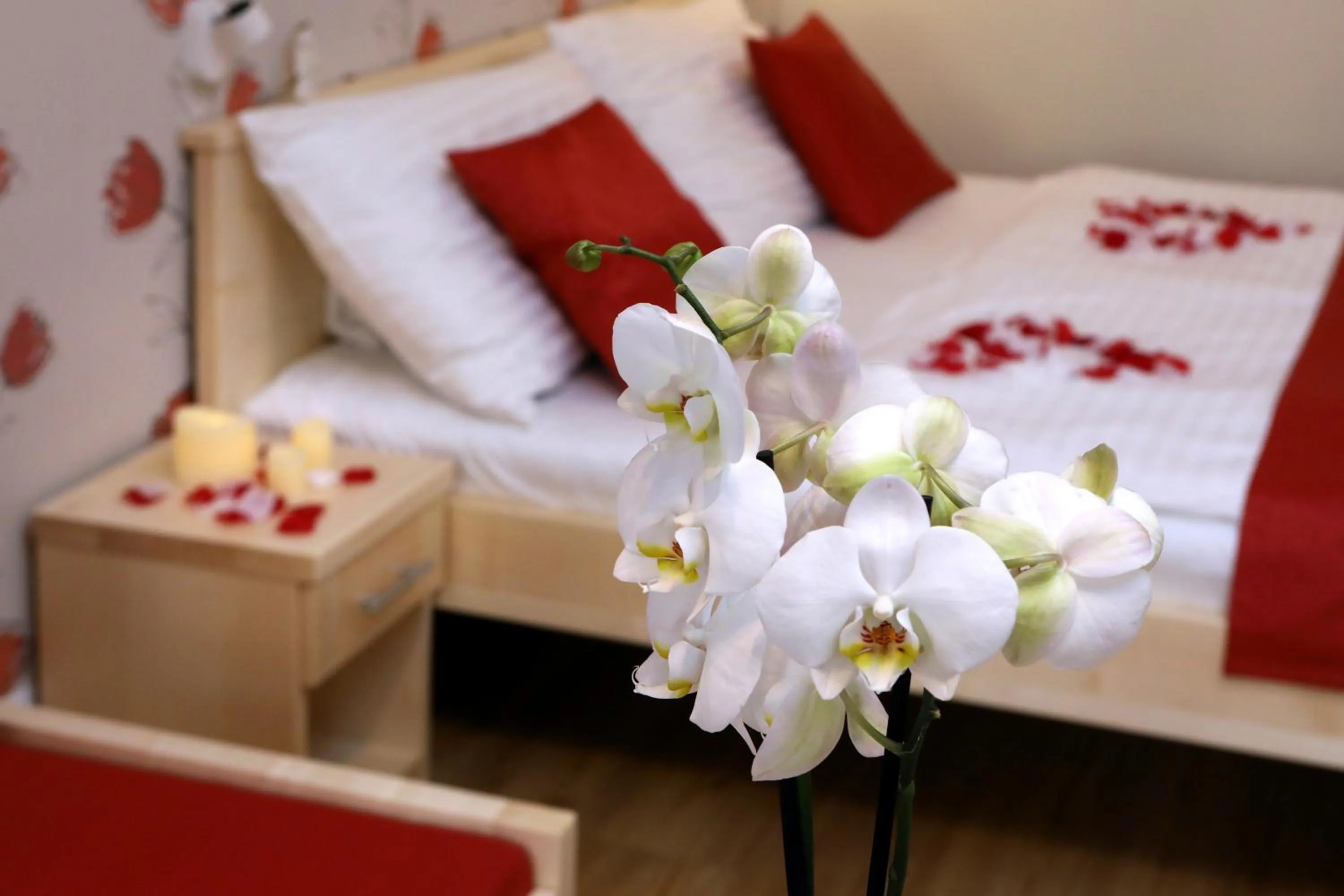 Other, Bed in Anděl Apartments Praha