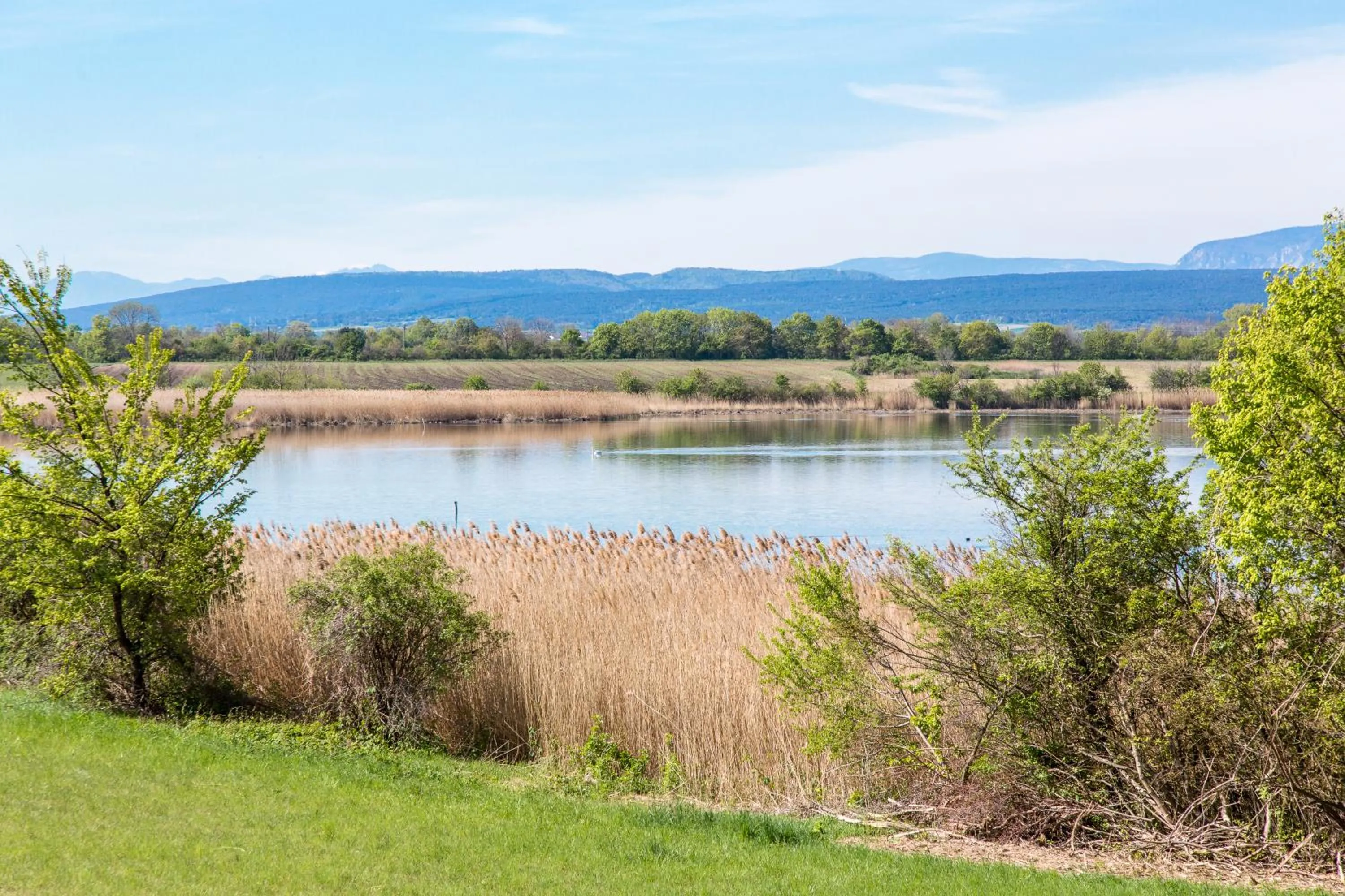 Facade/entrance in Motel Verde