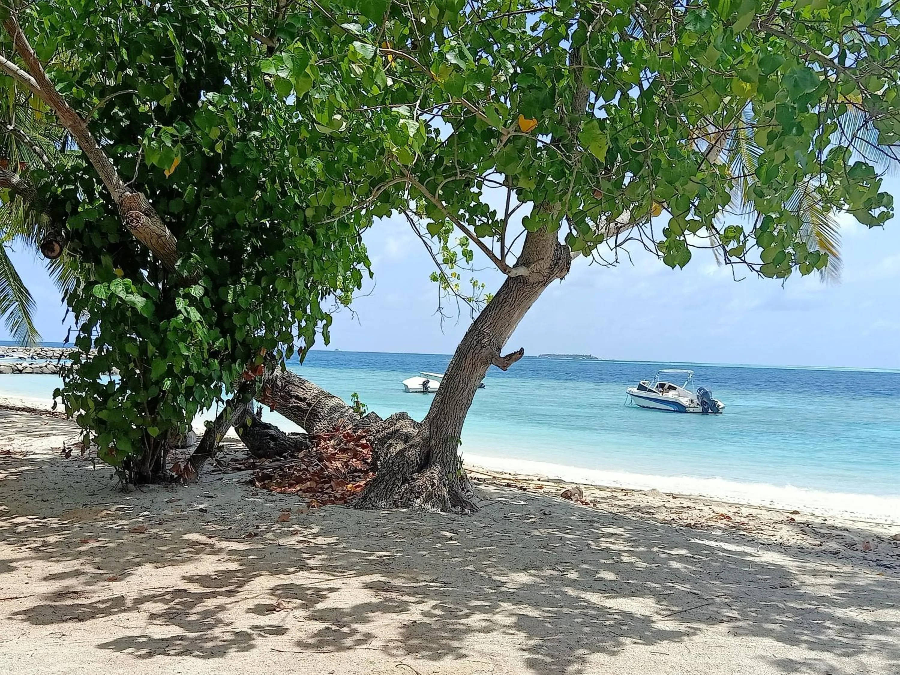 Natural landscape in Fins Dive and Leisure Hotel