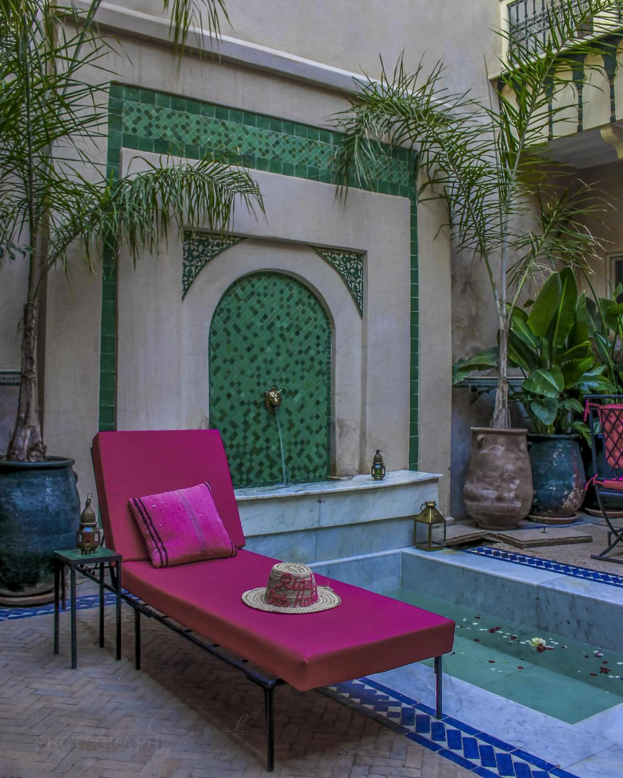 Swimming pool in Riad Dar Habiba by Garden Wonders