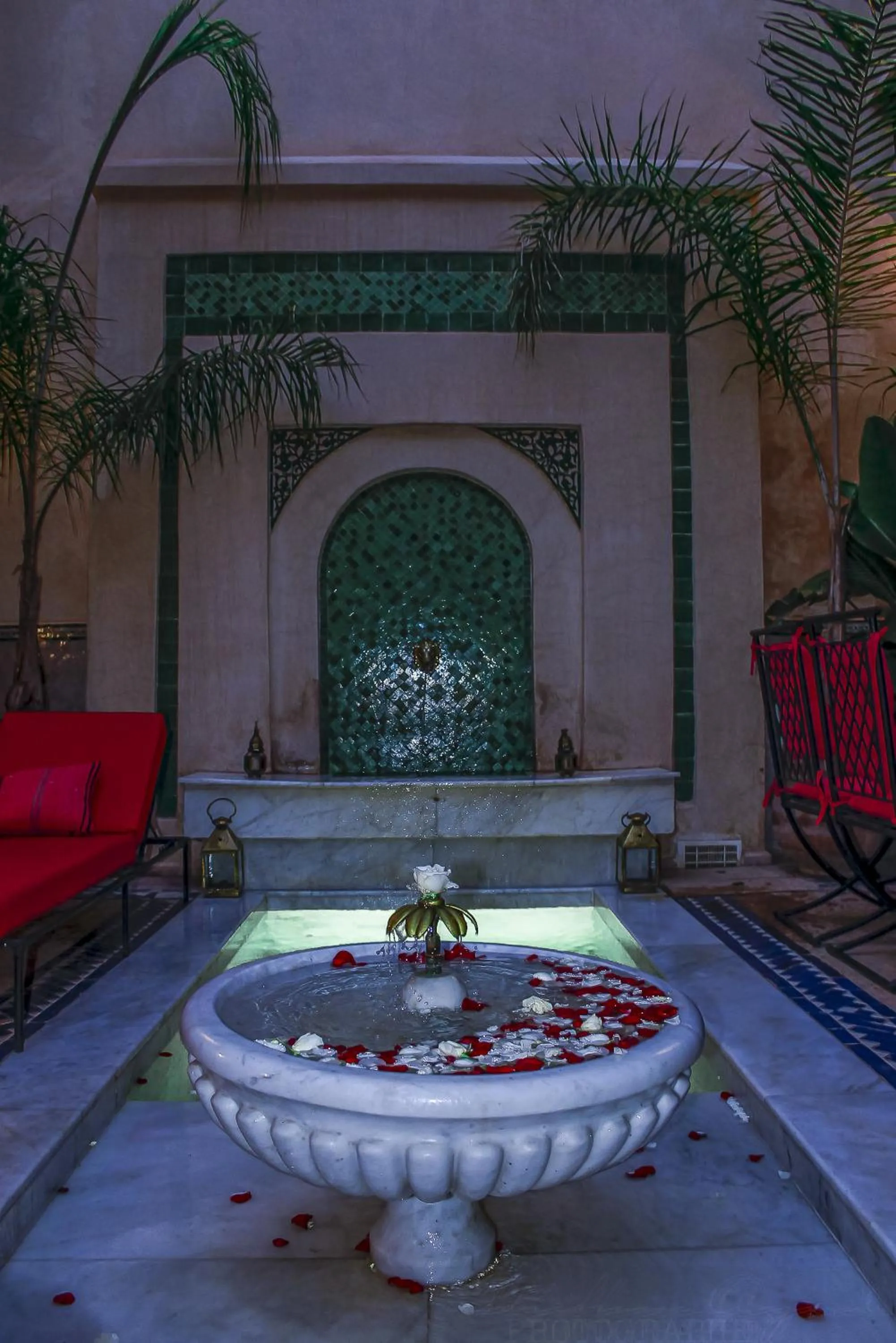 Swimming pool in Riad Dar Habiba by Garden Wonders