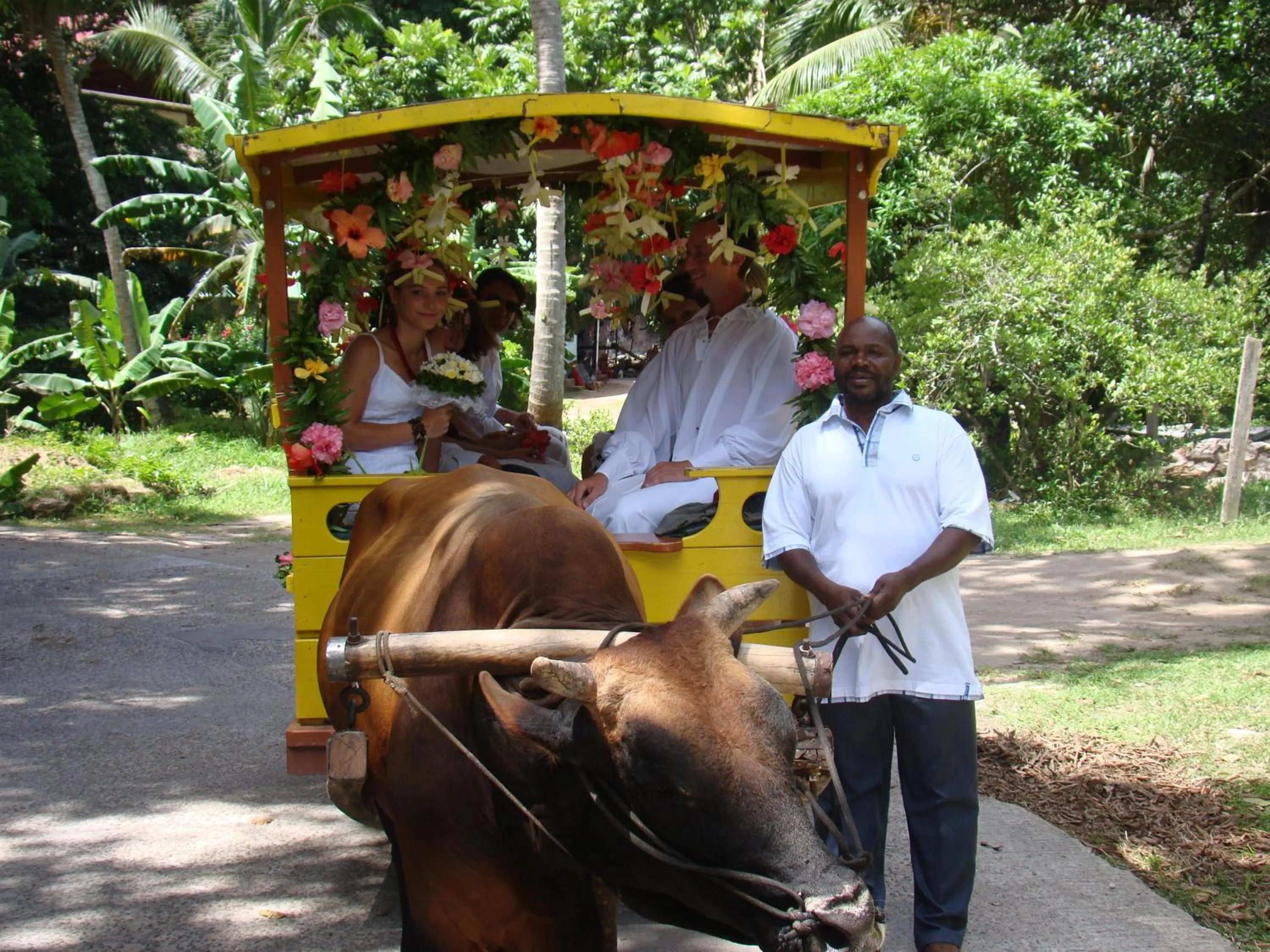 Other in Tannette Villa