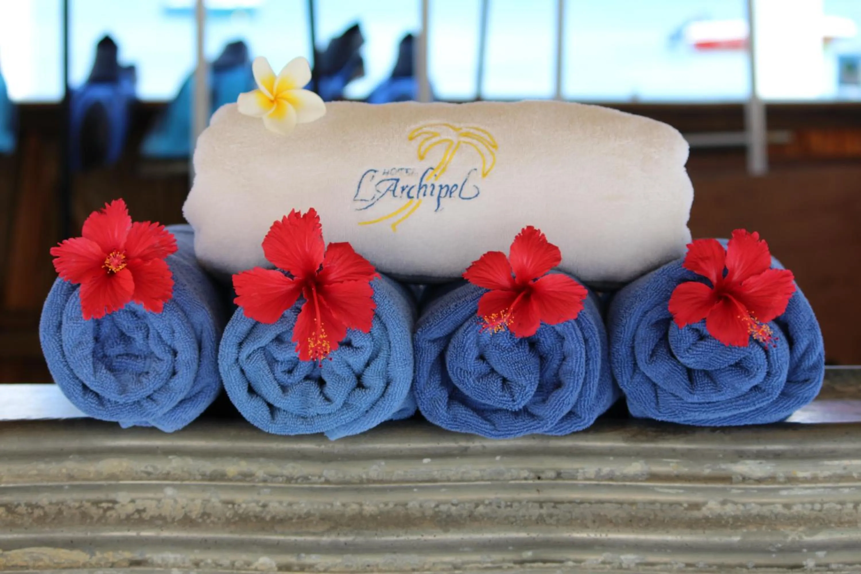 Area and facilities in Hotel L'Archipel