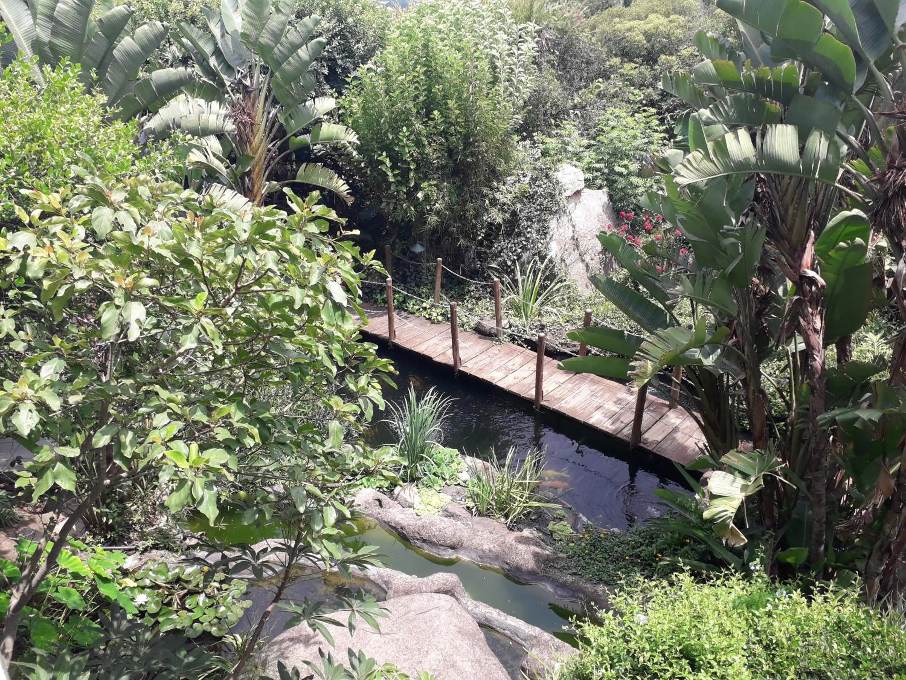 Garden in Jörn's Gästehaus
