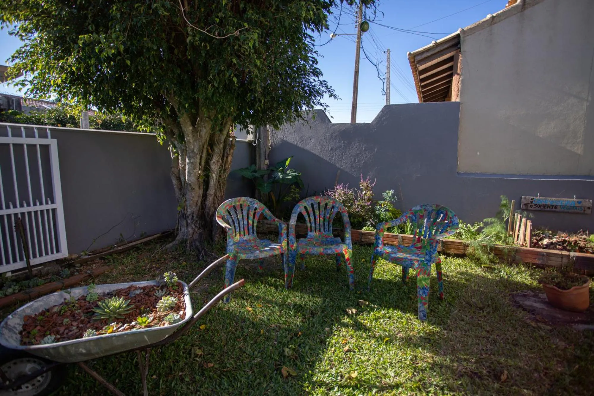 Garden in Hostel Butiá