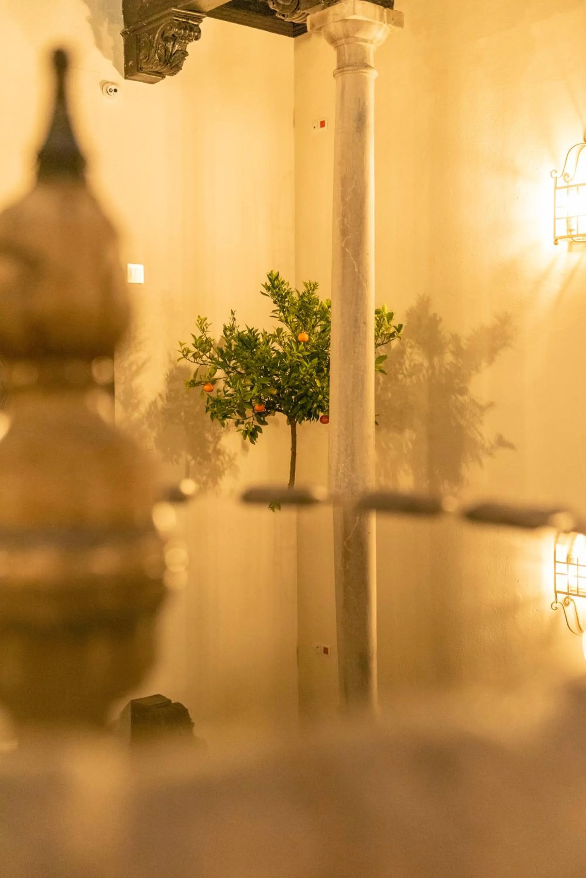 Patio in Palacete 1620, Premium Suites, Only adults