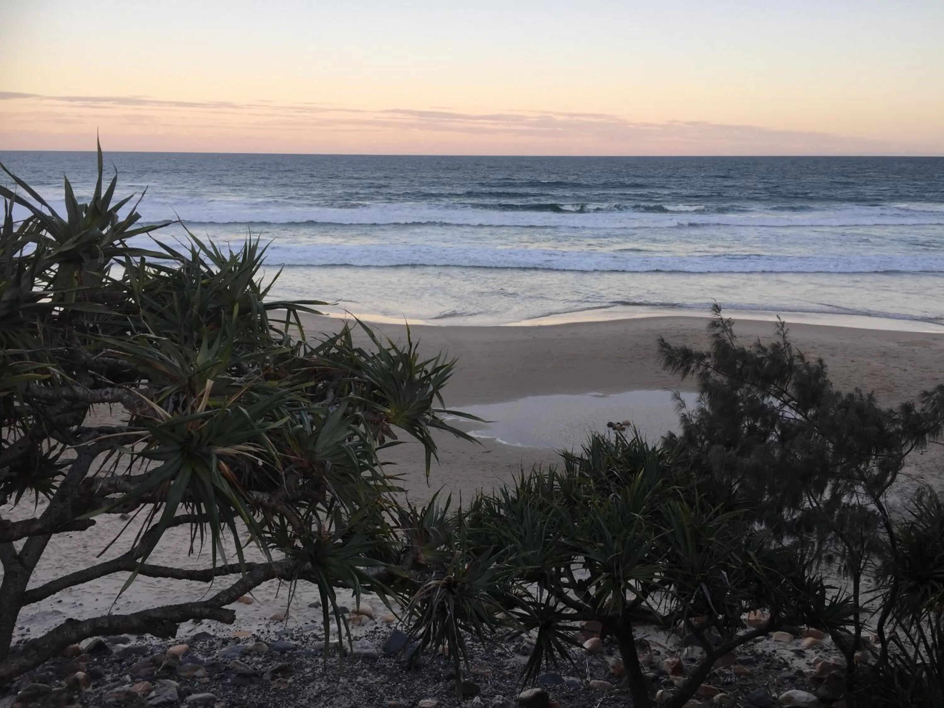 Natural landscape in Coolum Beachside Apartment
