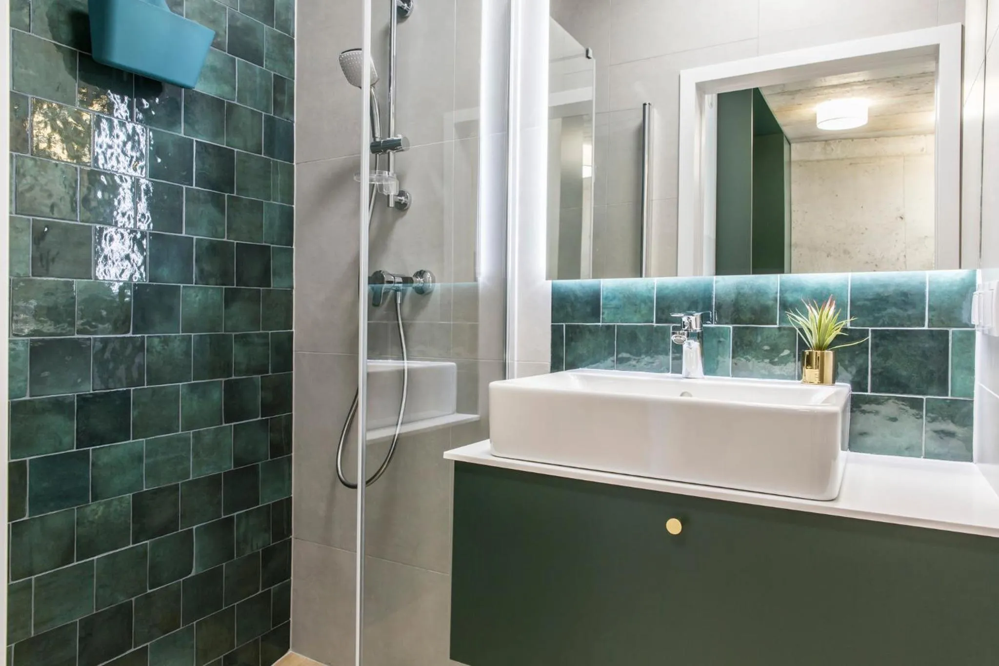 Shower in Piedmont House