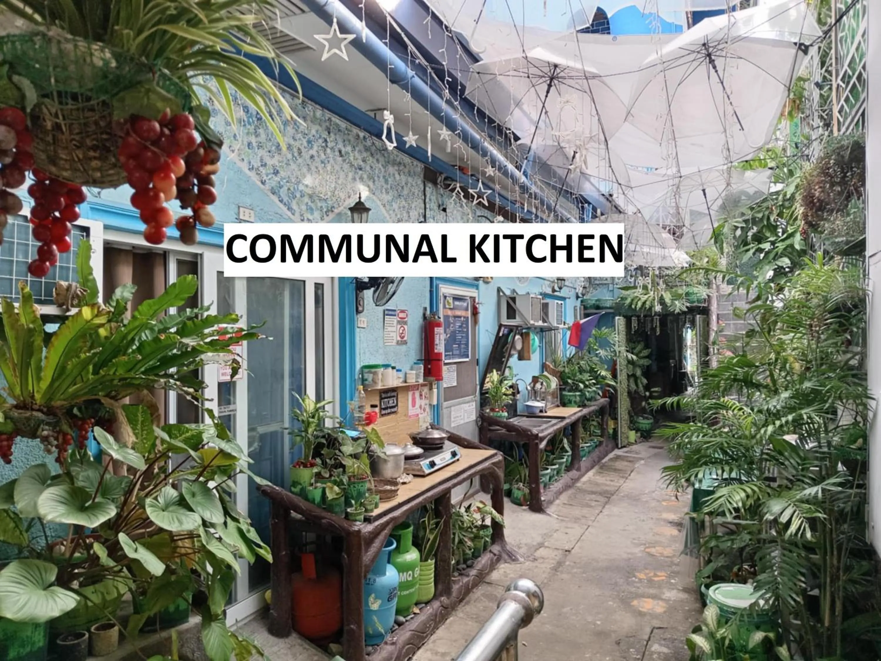 Kitchen or kitchenette in Daniela's Place