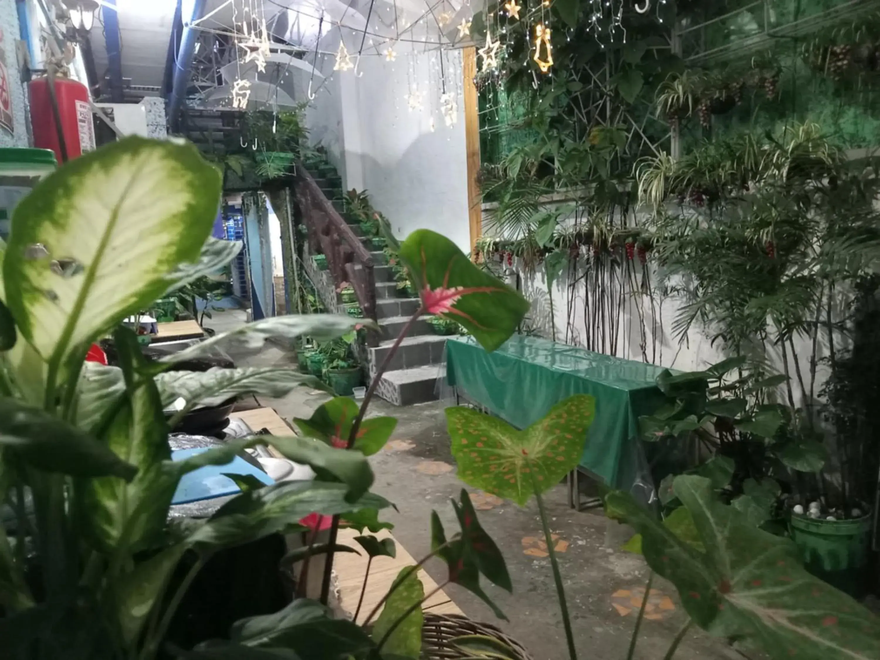 Property building in Daniela's Place Property building in Daniela's Place