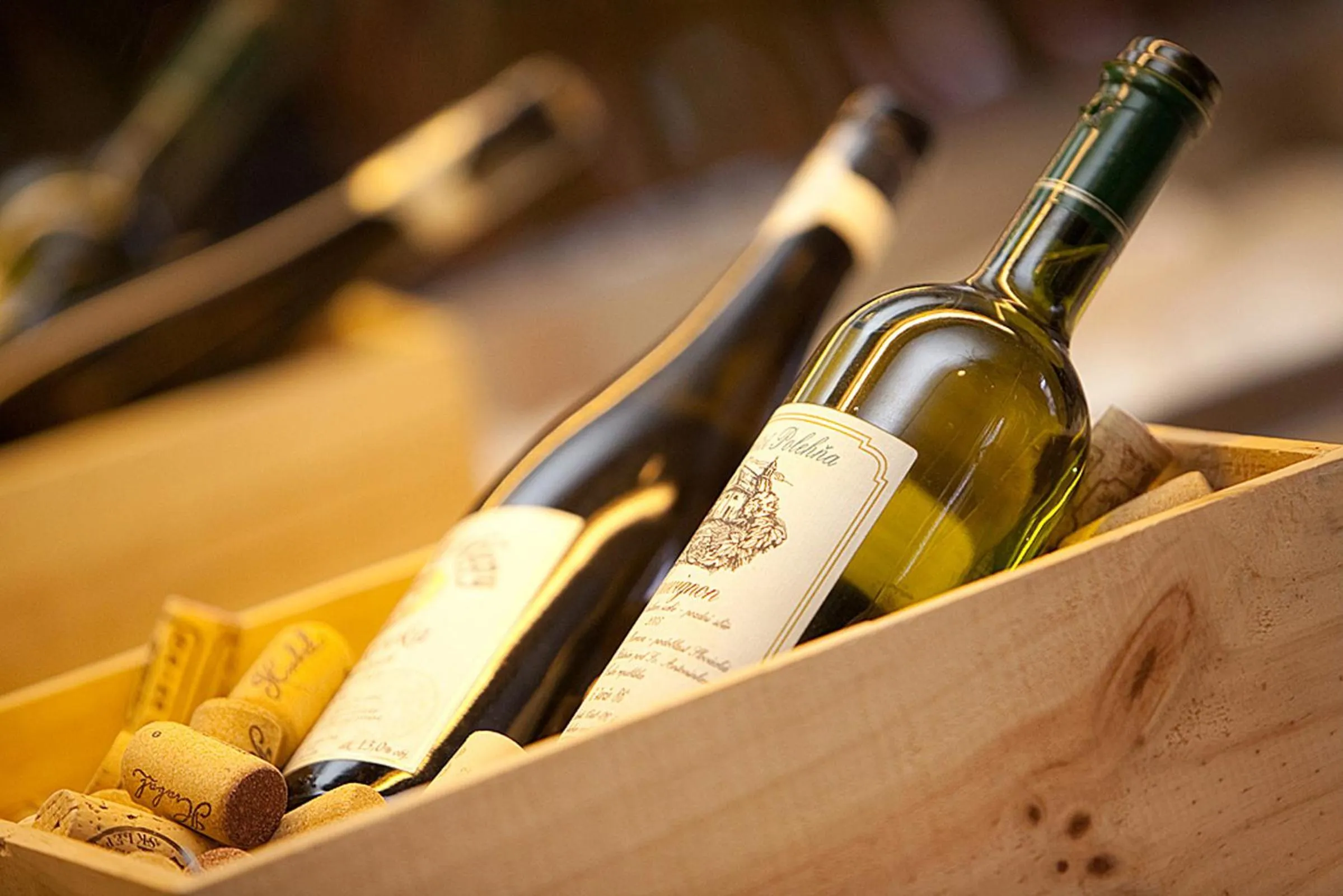 Alcoholic drinks in Hotel U Divadla - Czech Leading Hotels