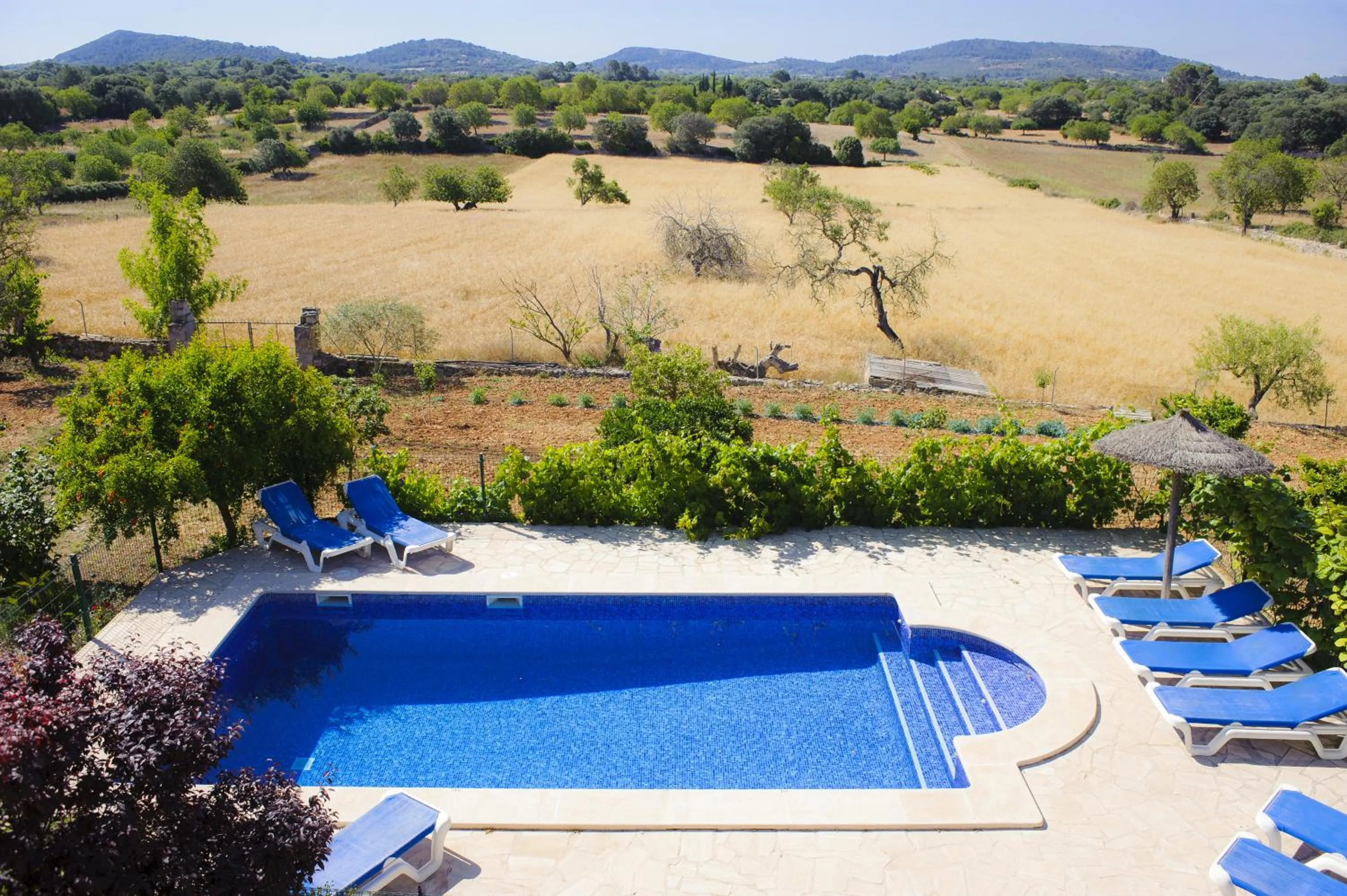 Swimming pool in Finca Miquel Tomas