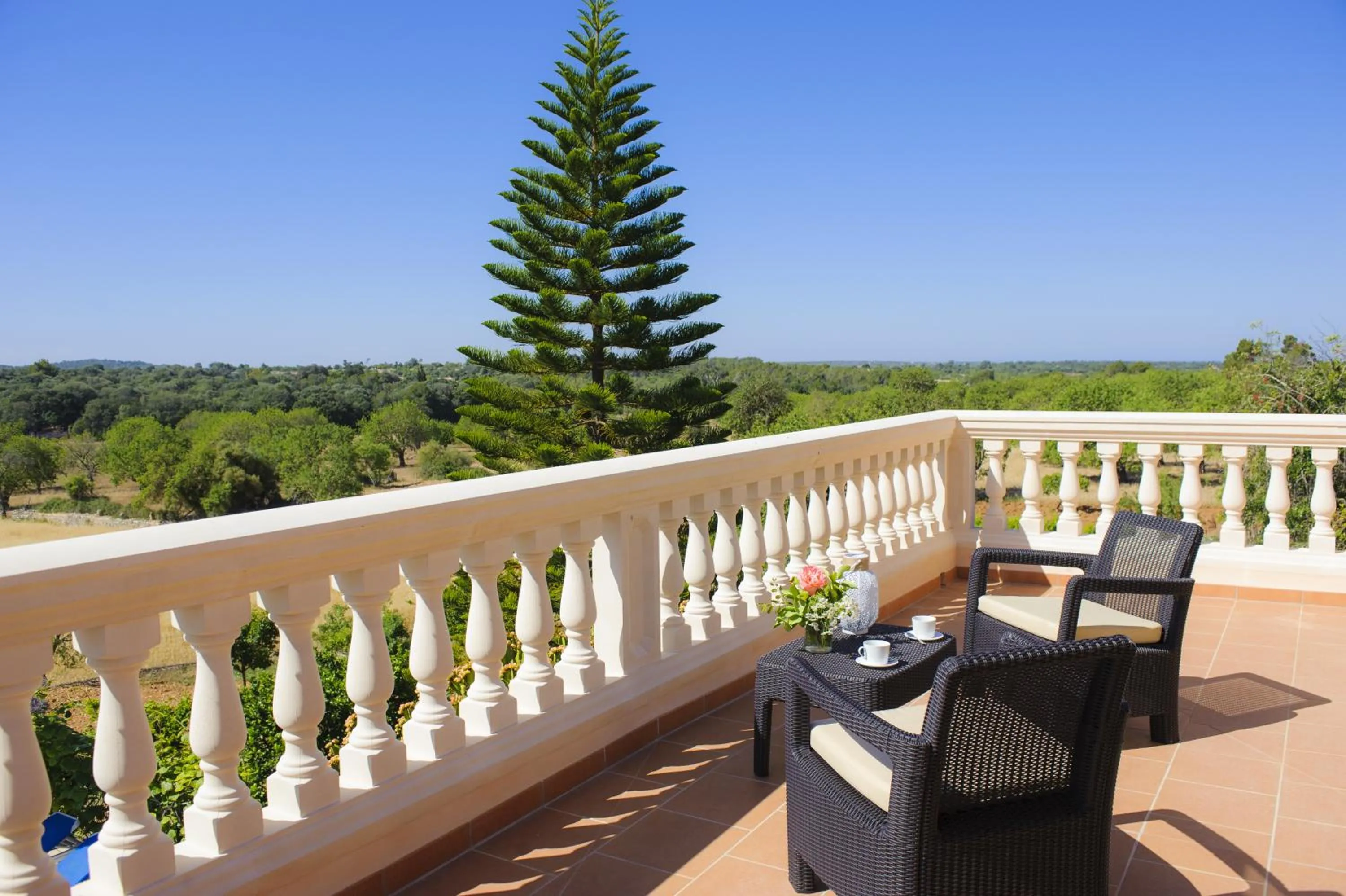 Balcony/Terrace in Finca Miquel Tomas