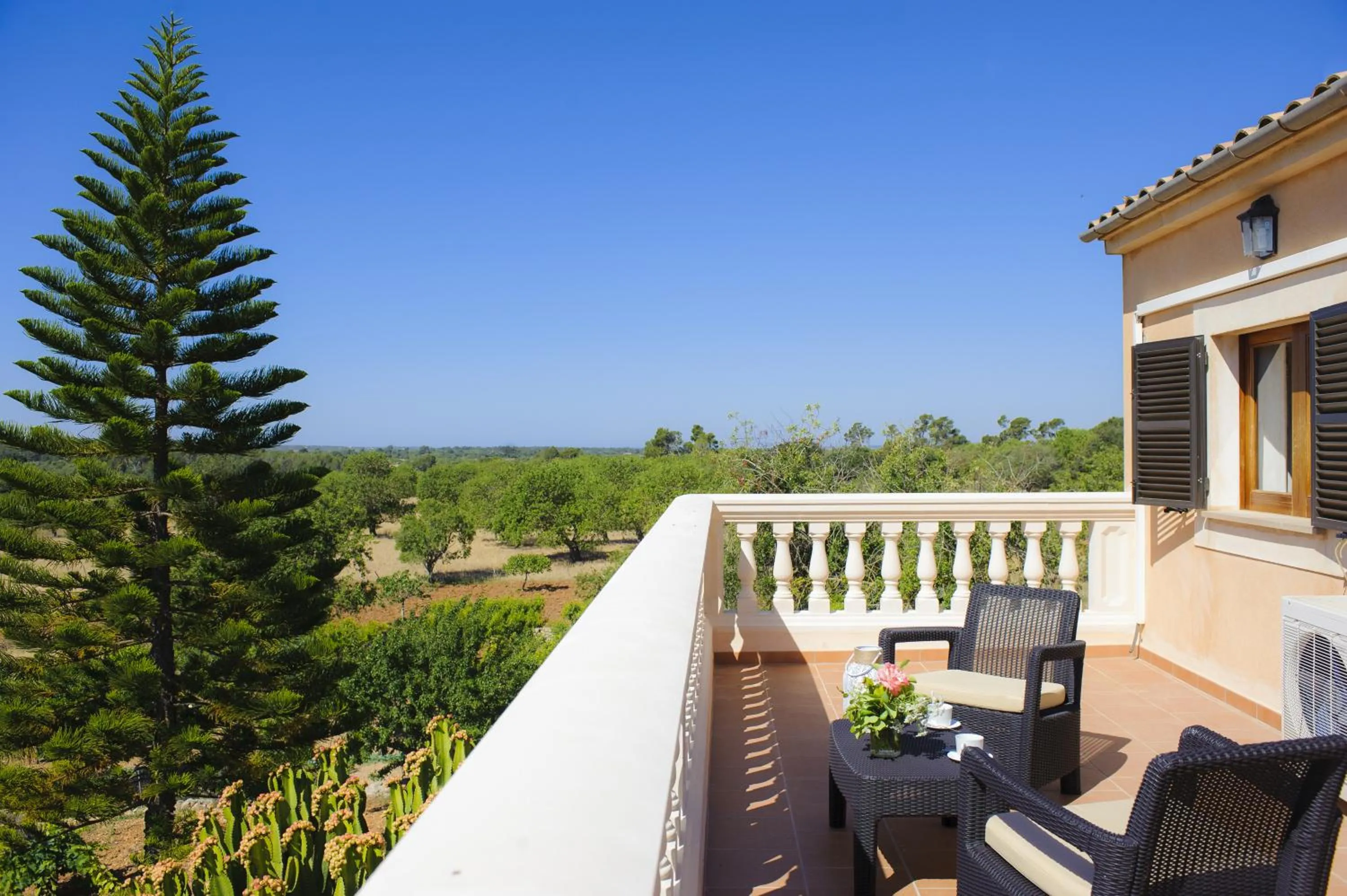 Balcony/Terrace in Finca Miquel Tomas