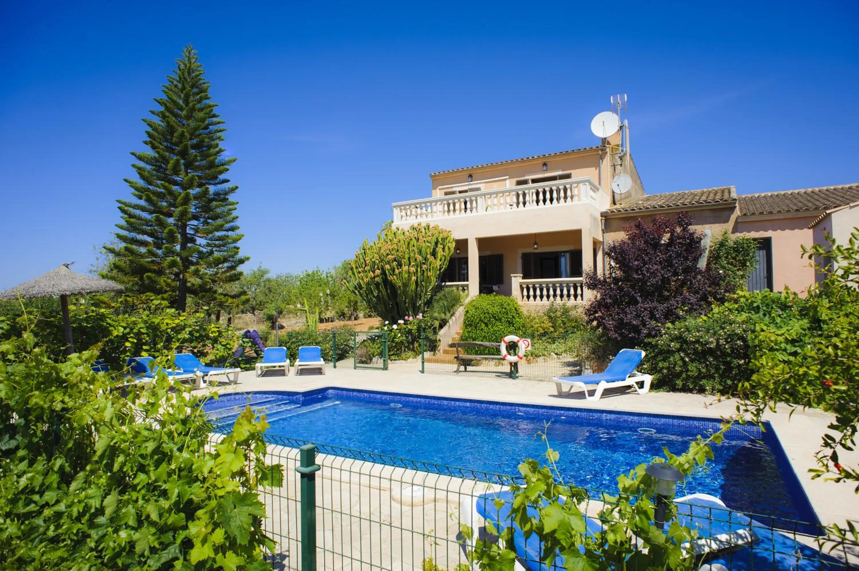 Swimming pool in Finca Miquel Tomas
