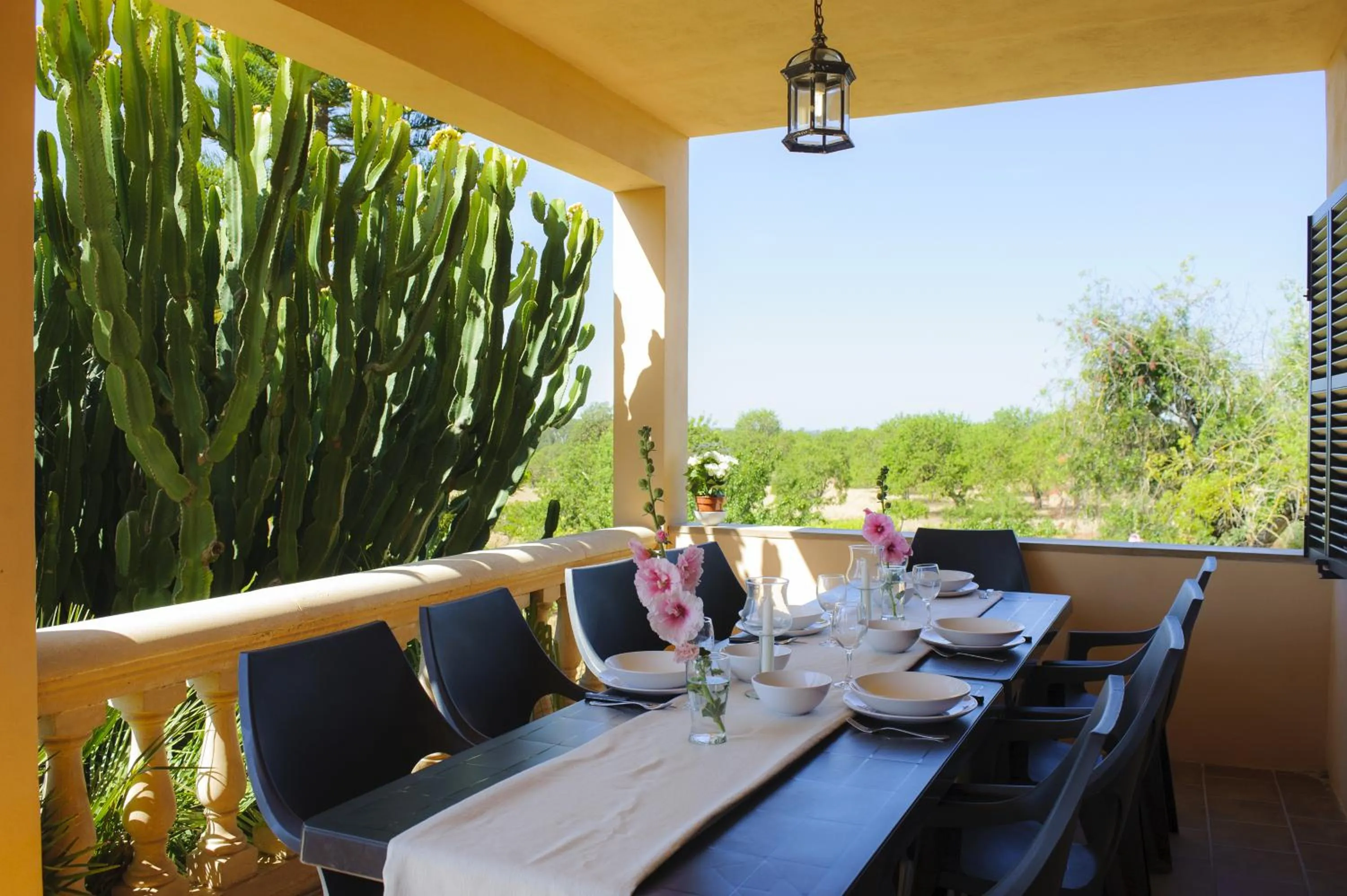 Balcony/Terrace in Finca Miquel Tomas