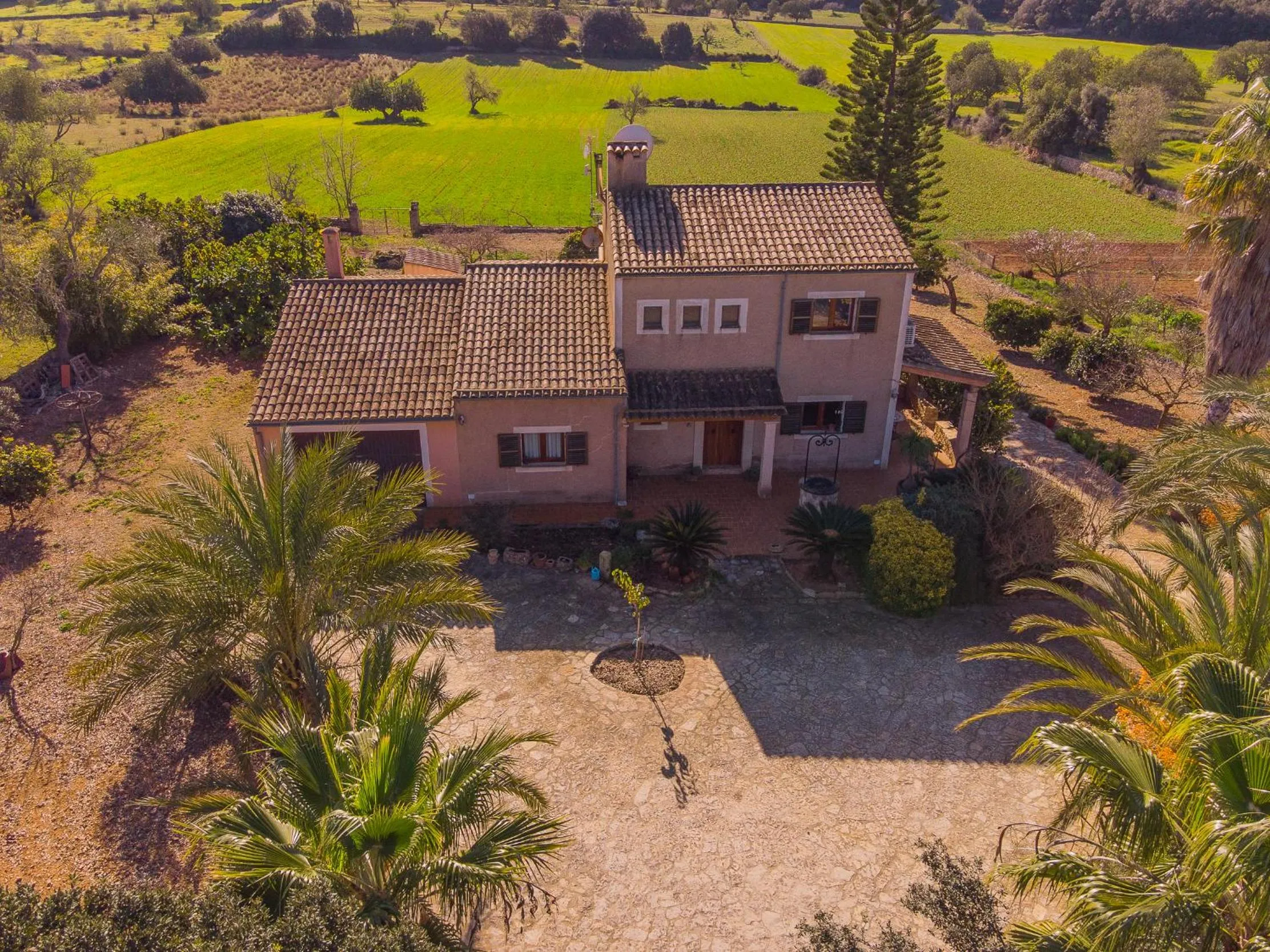 Finca Miquel Tomas