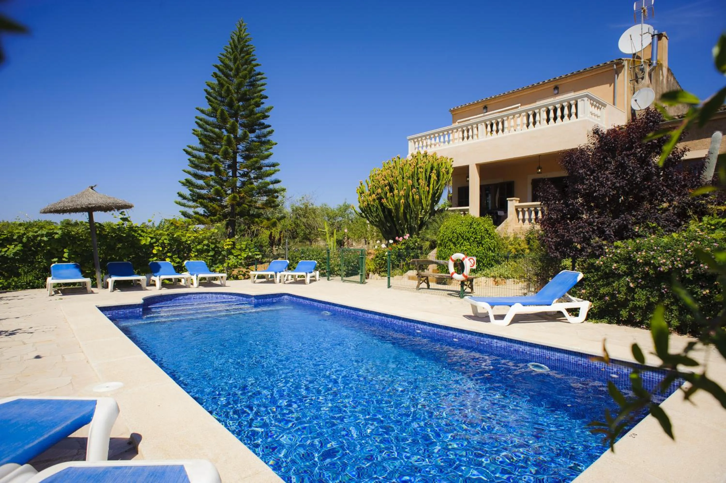 Swimming pool in Finca Miquel Tomas