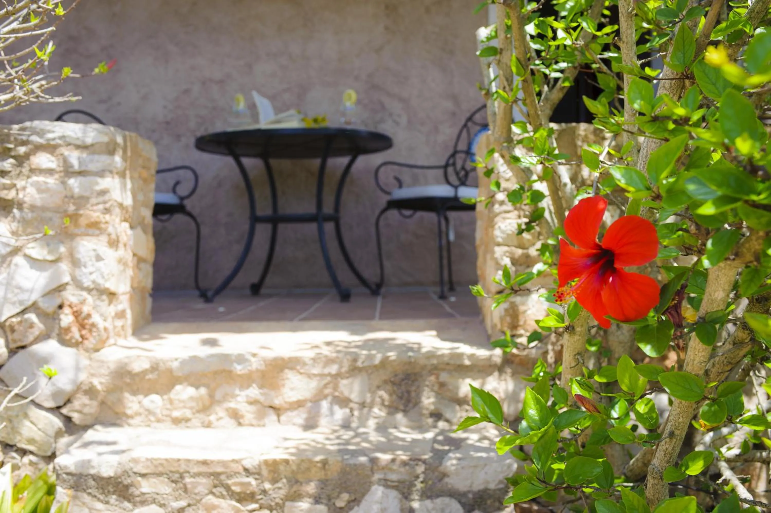 Area and facilities in Finca Miquel Tomas