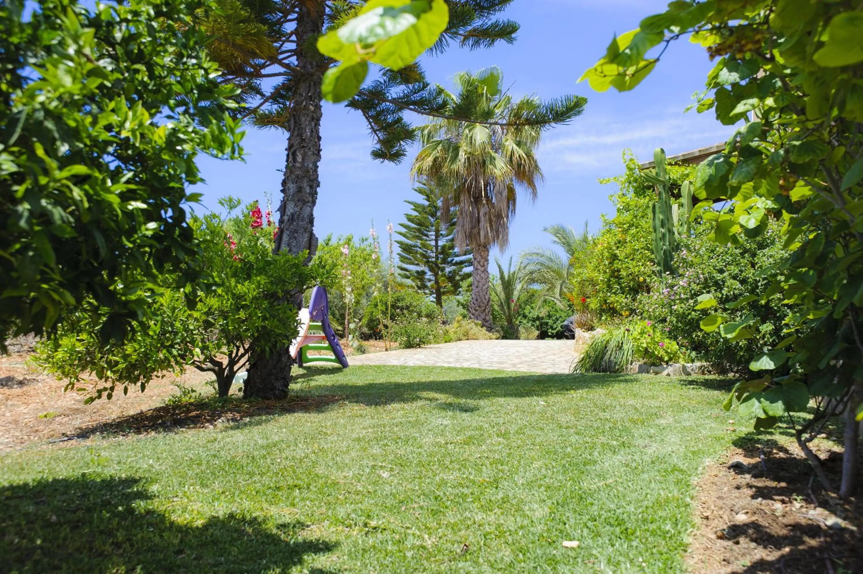 Garden in Finca Miquel Tomas