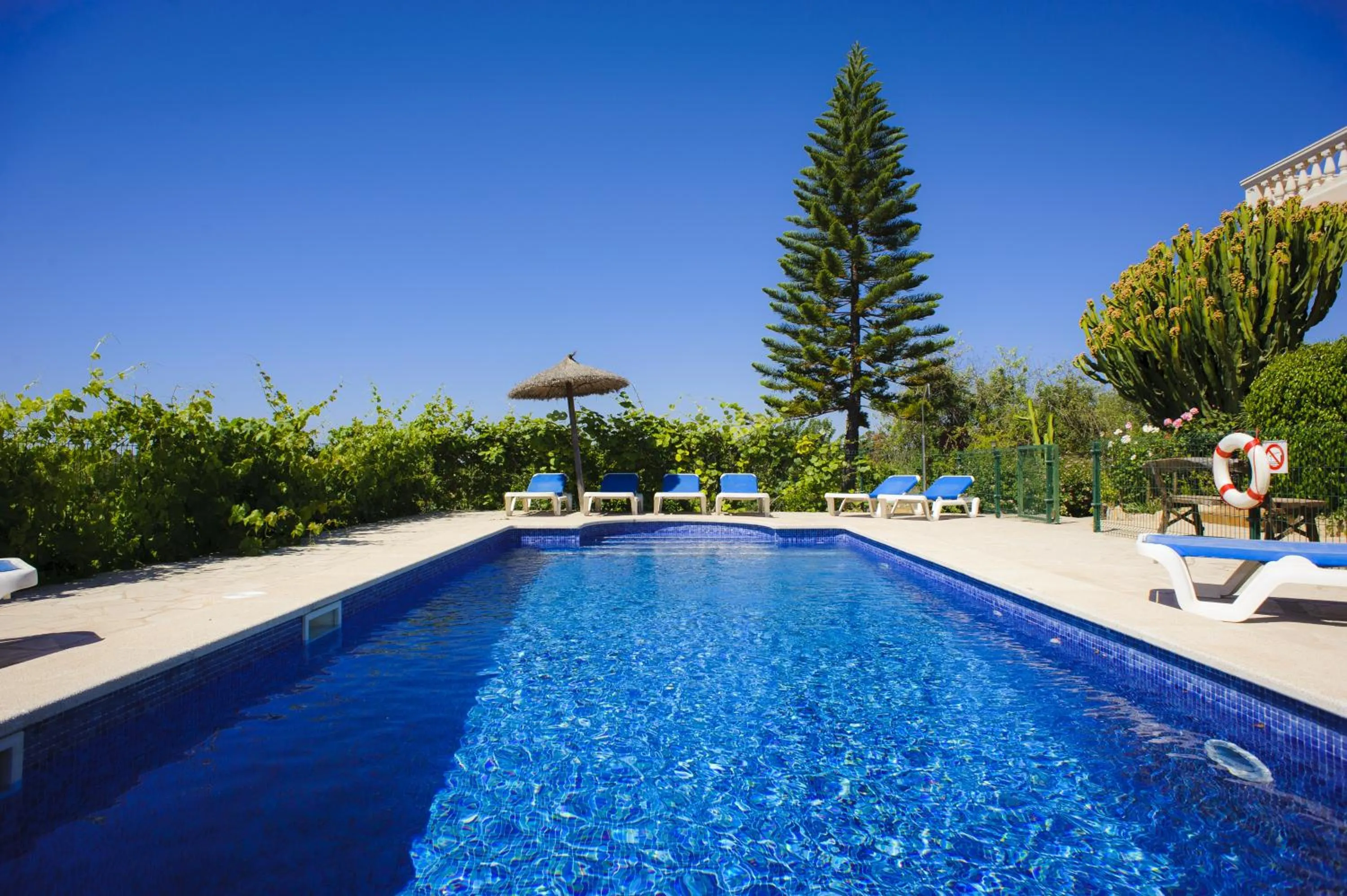 Swimming pool in Finca Miquel Tomas