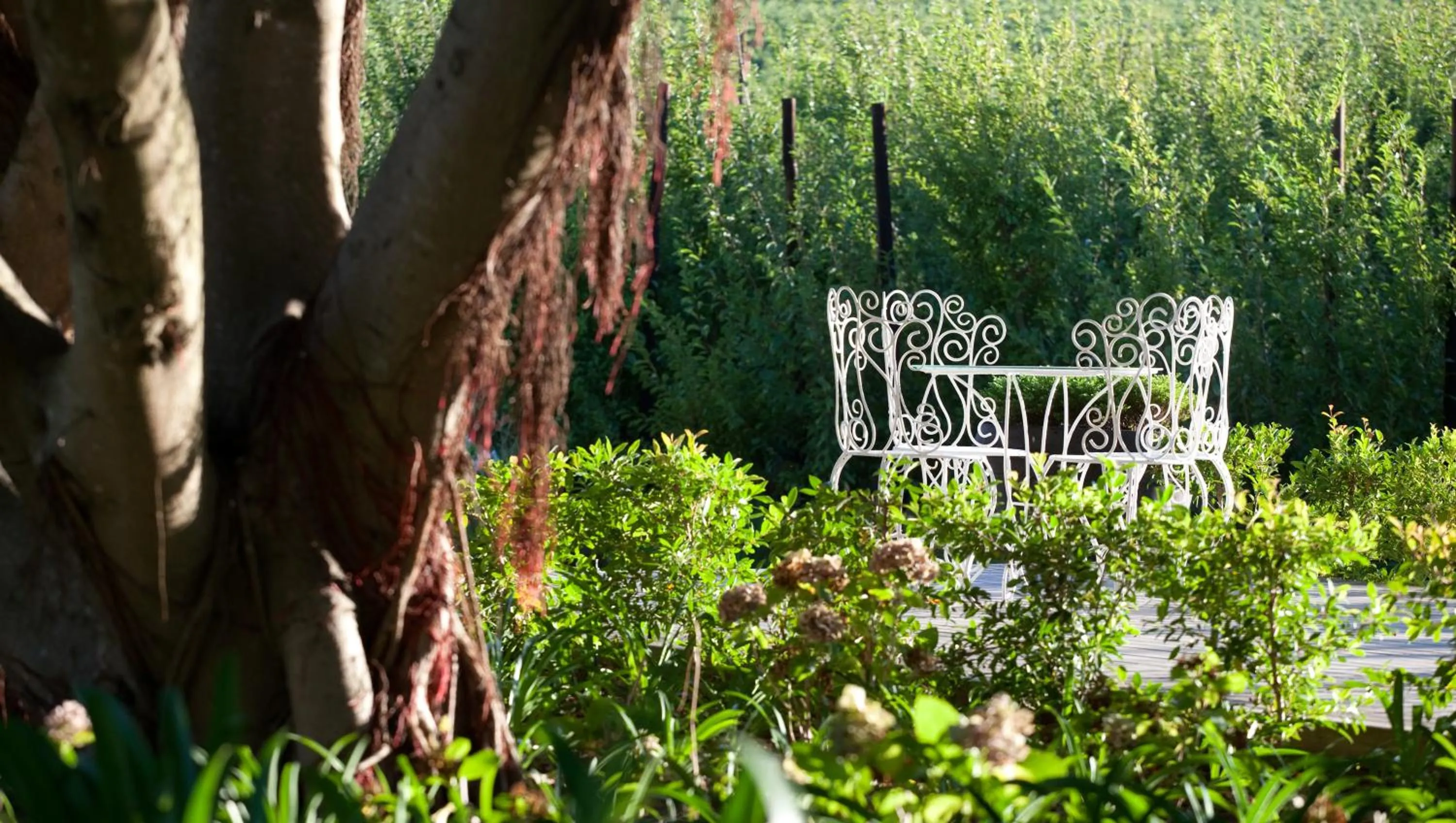 Garden in Brenaissance Wine & Stud Estate