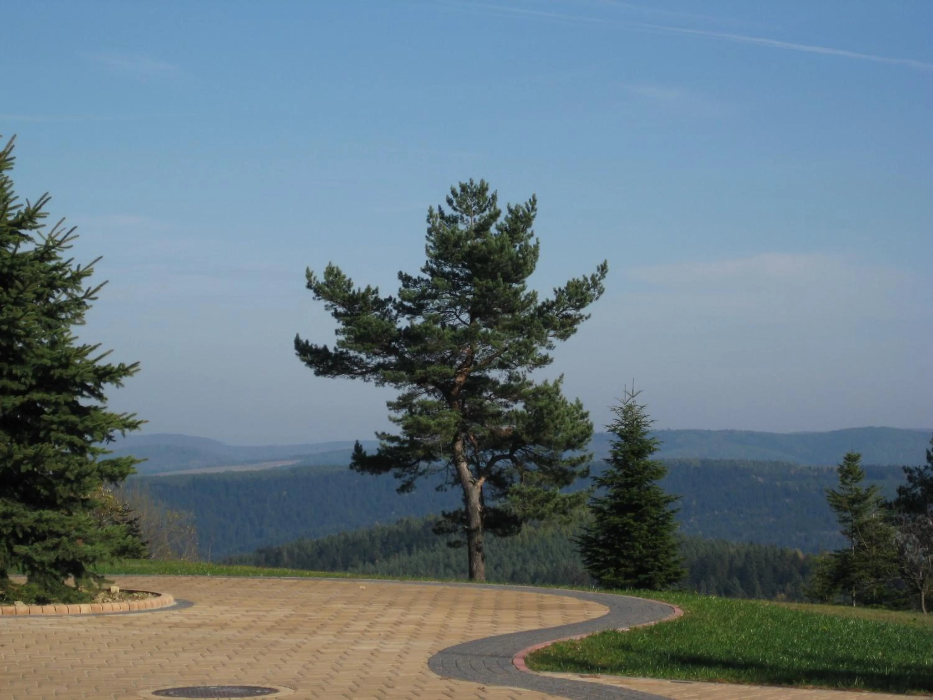 Natural landscape in Pensjonat Orle