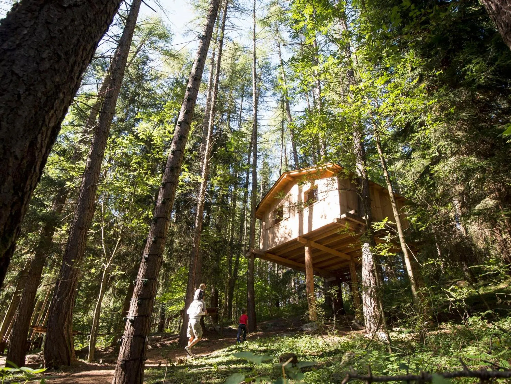 Natural landscape in Familienhotel Huber