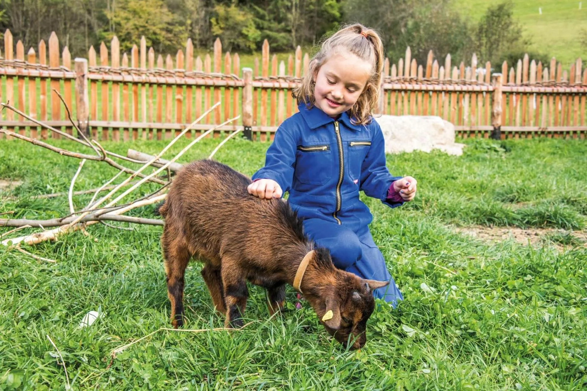 Animals in Familienhotel Huber