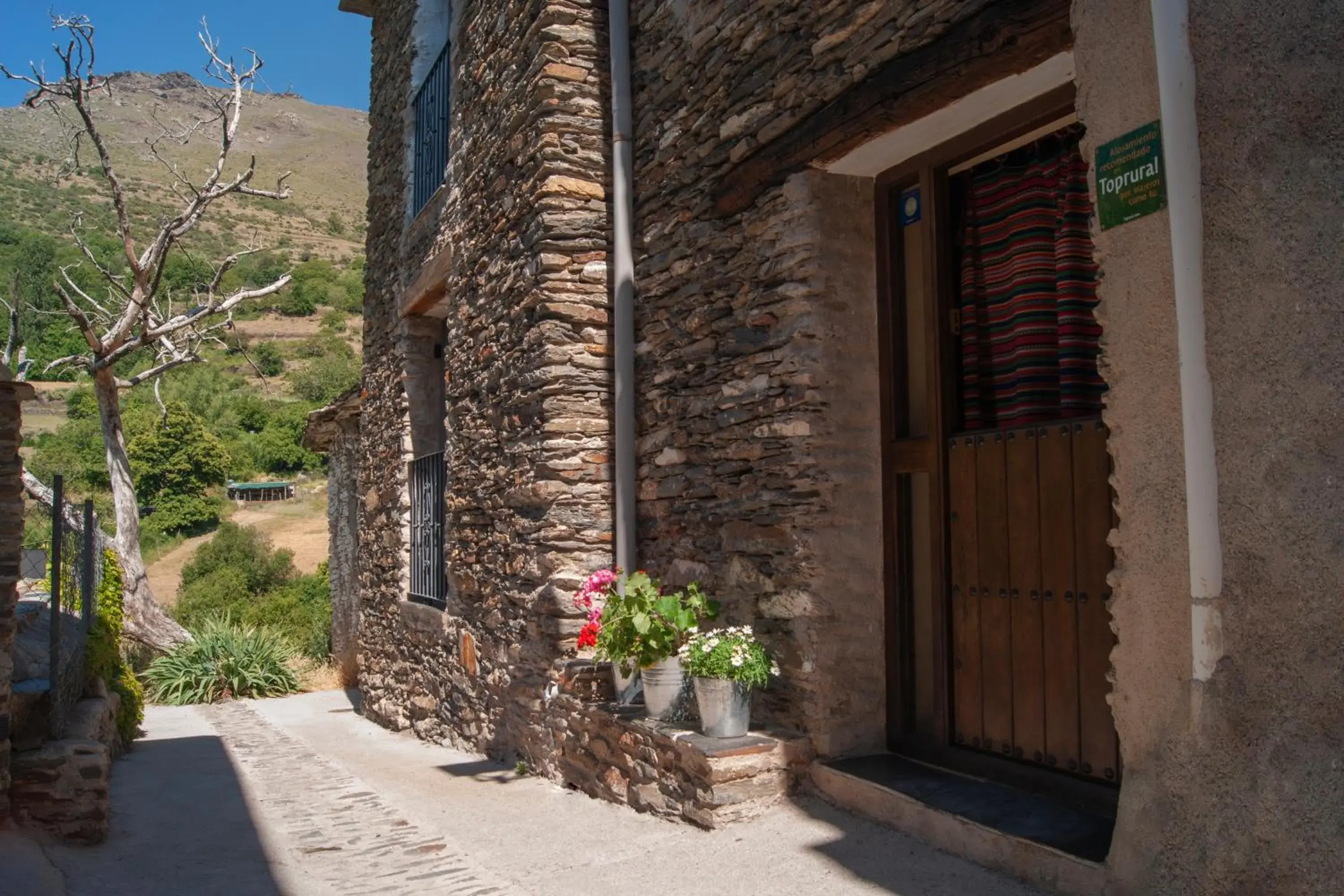 Casa-Huerto La Juana Casa-Huerto La Juana