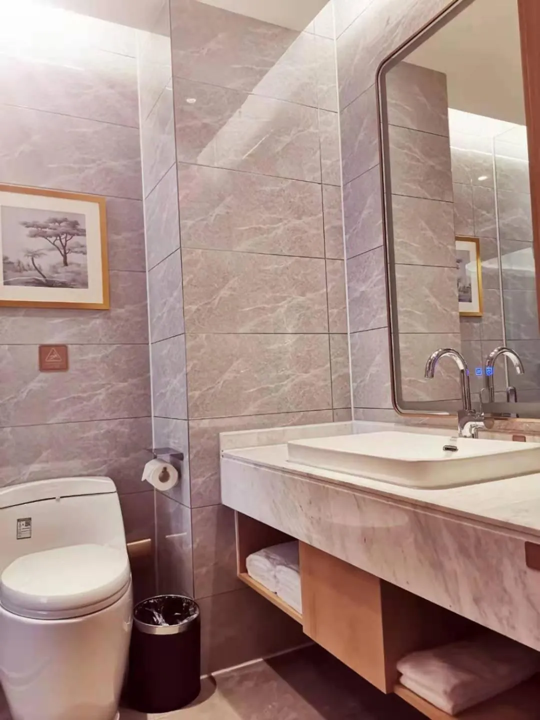 Bathroom in Vienna Hotel