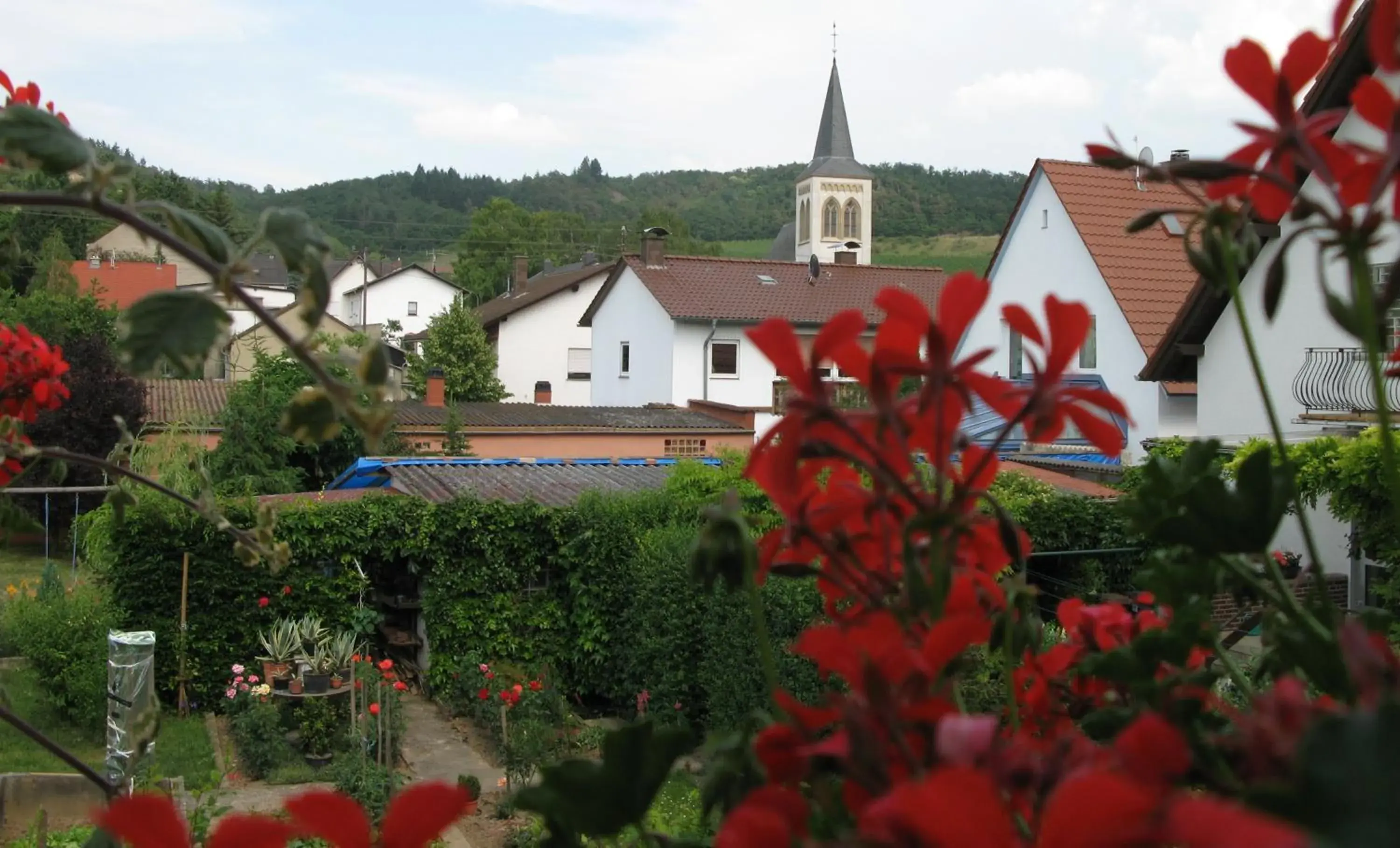 View (from property/room) in Zur Rotenfelsstube View (from property/room) in Zur Rotenfelsstube