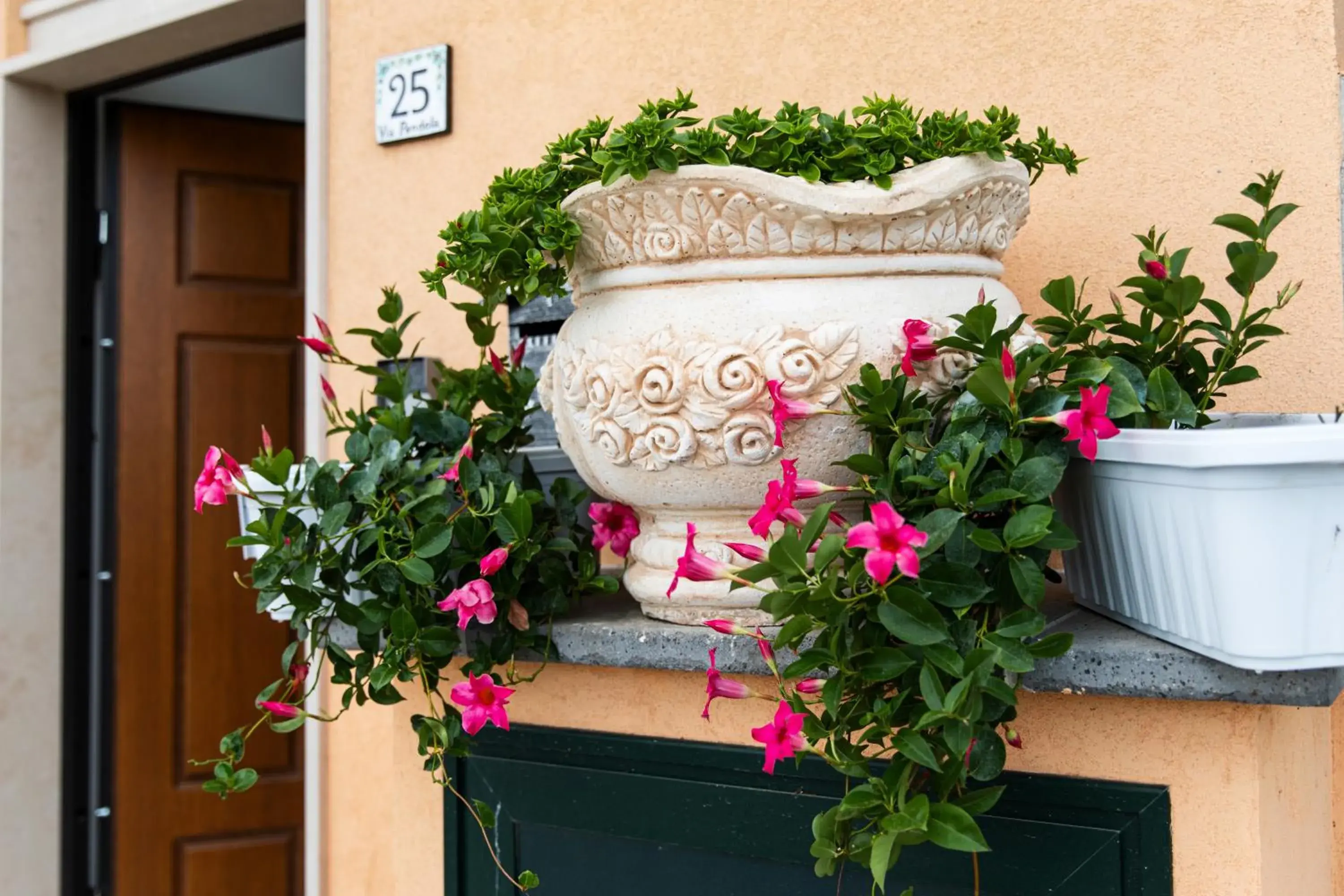 Facade/entrance in Panariello Palace Facade/entrance in Panariello Palace