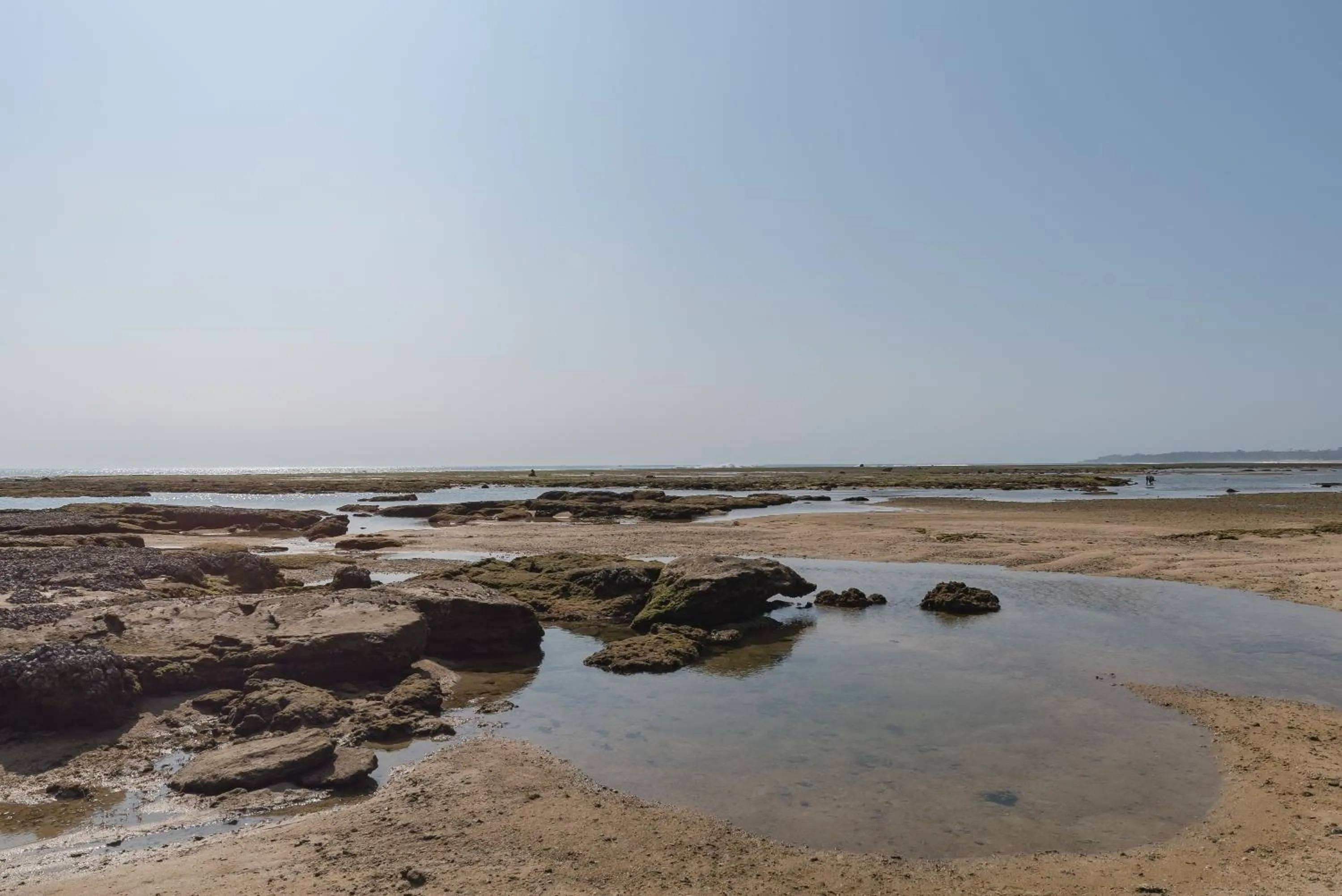 Sea view in RedDoorz near Pantai Ujung Genteng