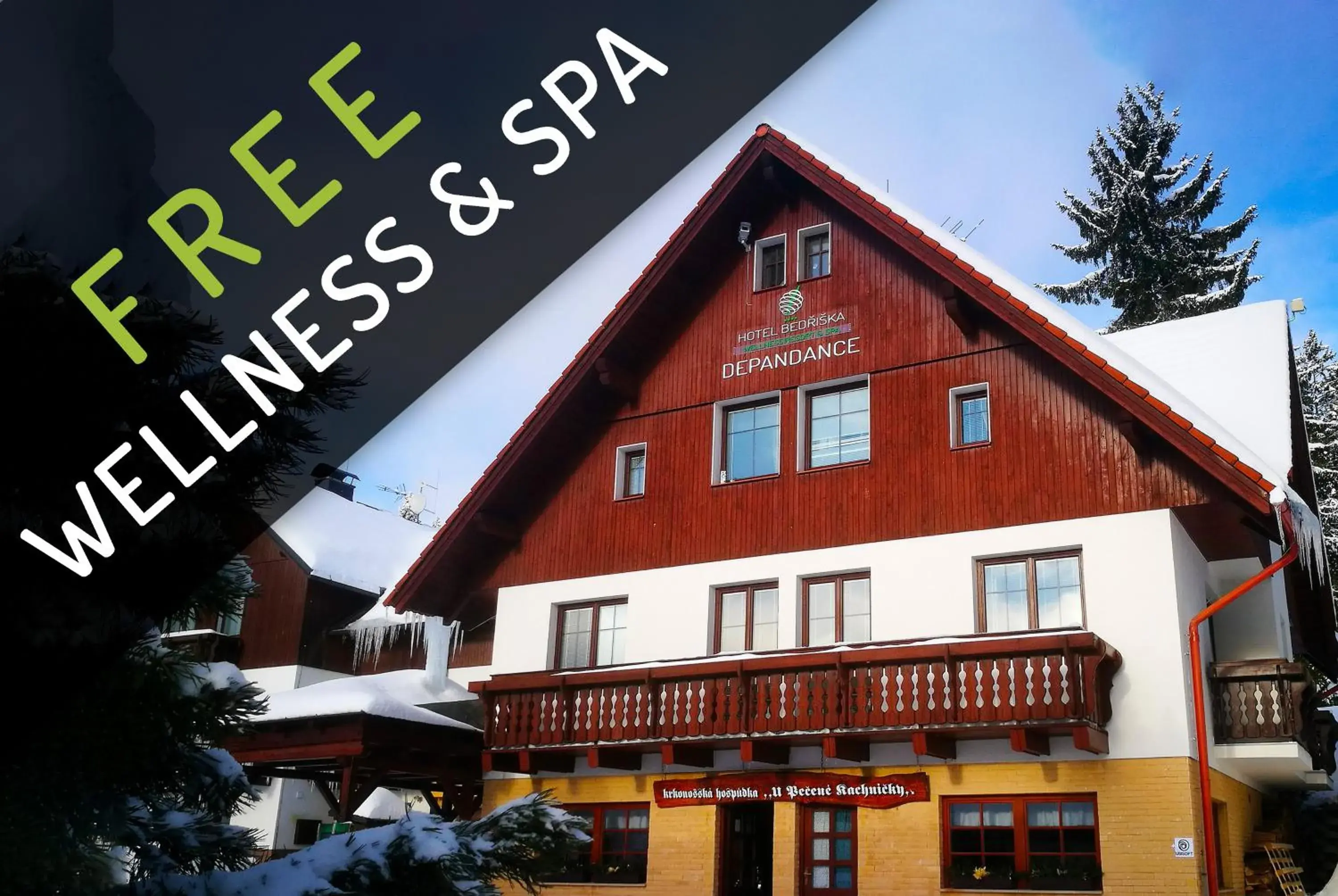 Standard Double Room - Annex in Hotel Bedriska Wellness Resort & Spa Standard Double Room - Annex in Hotel Bedriska Wellness Resort & Spa