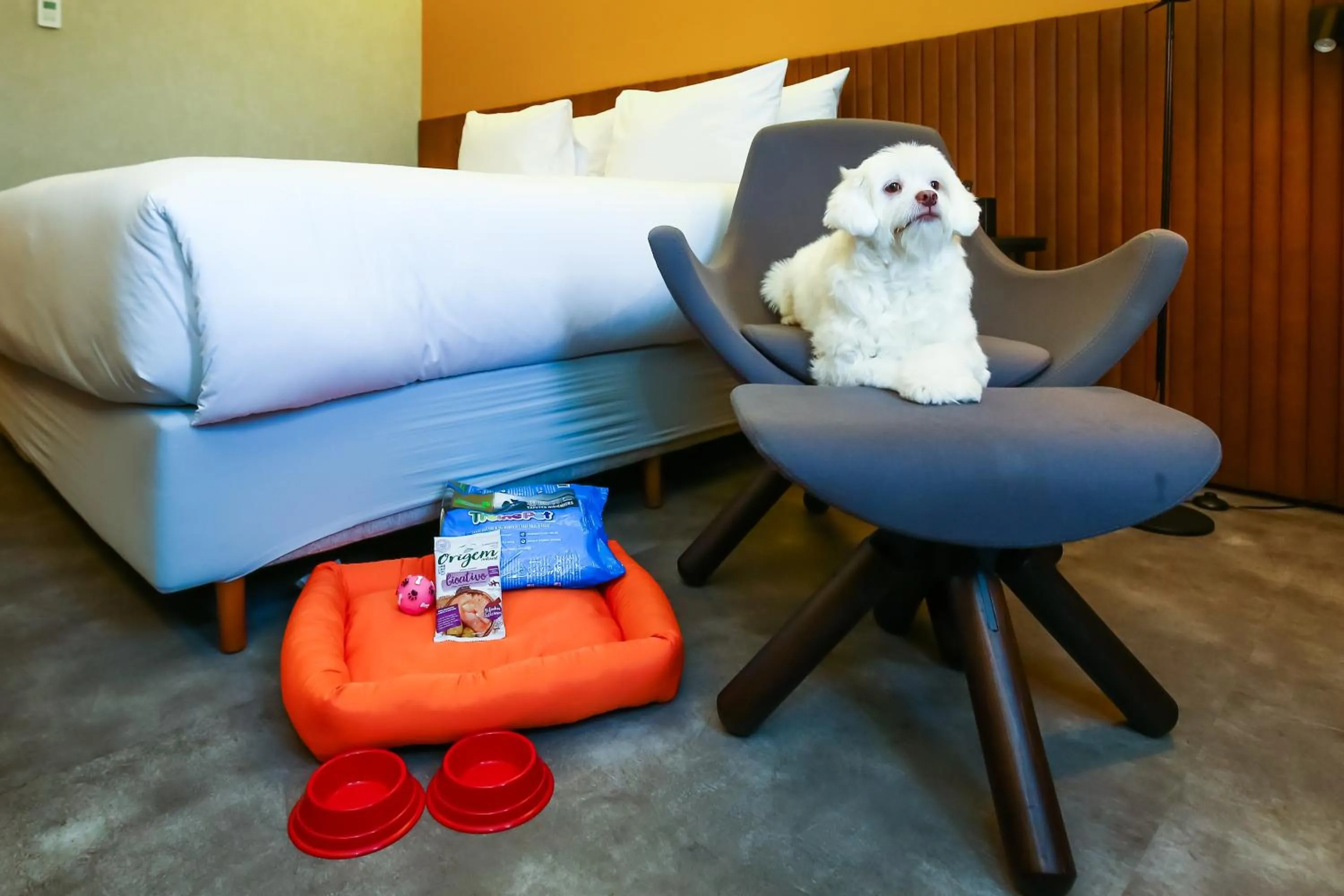 Pets in Hilton Garden Inn Rebouças