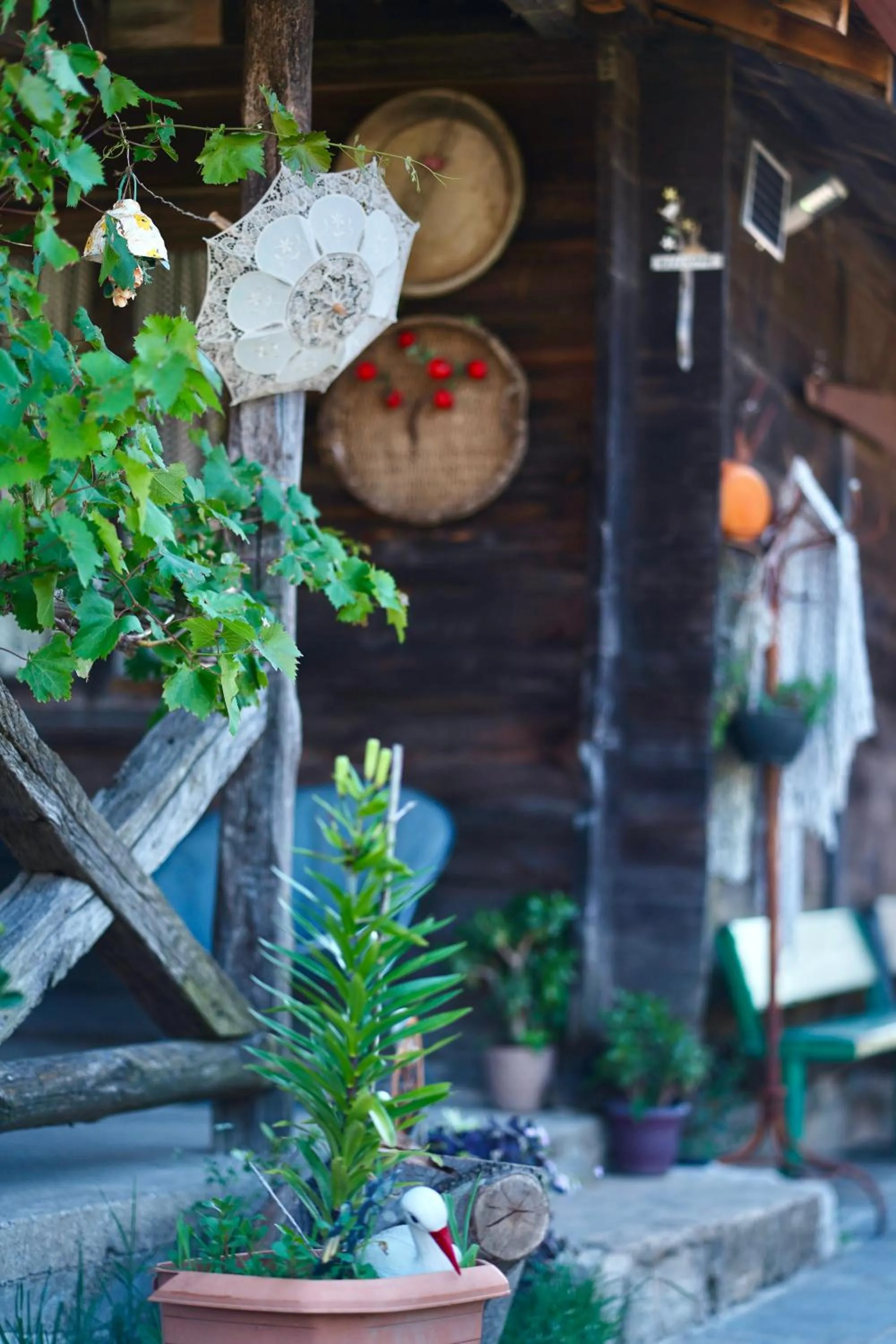 Agro Guesthouse Korena