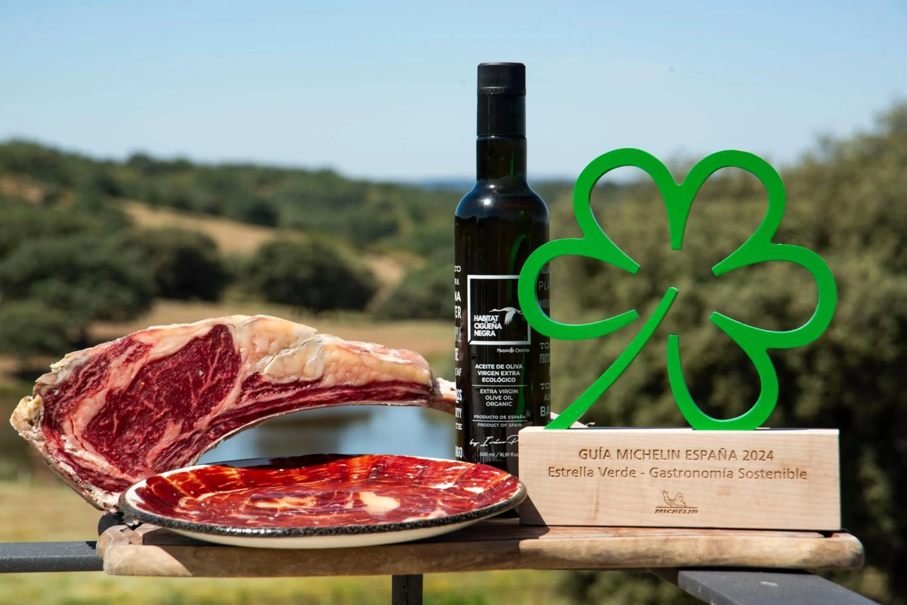 Restaurant/places to eat in Hábitat Cigüeña Negra