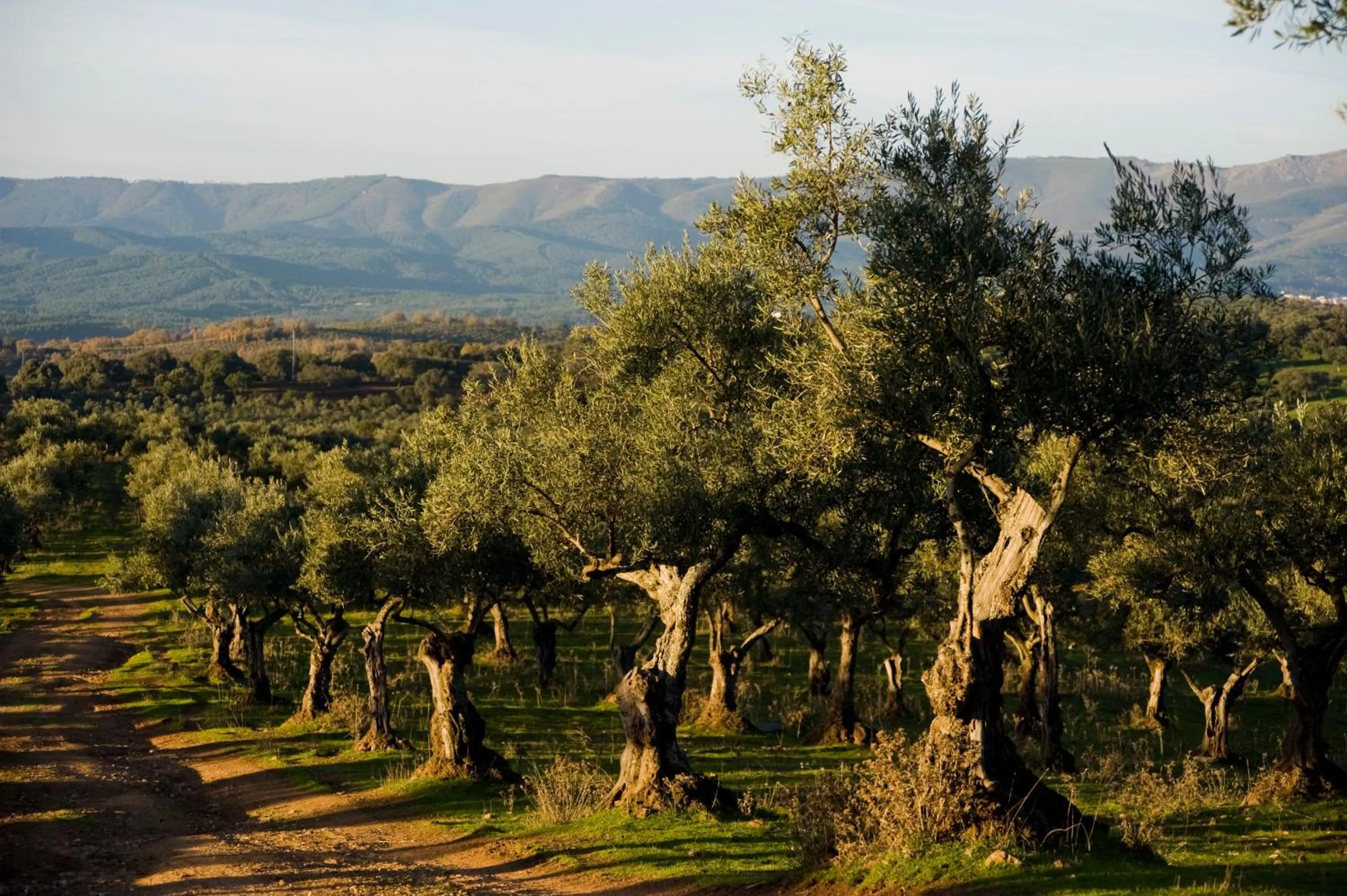 Off site in Hábitat Cigüeña Negra