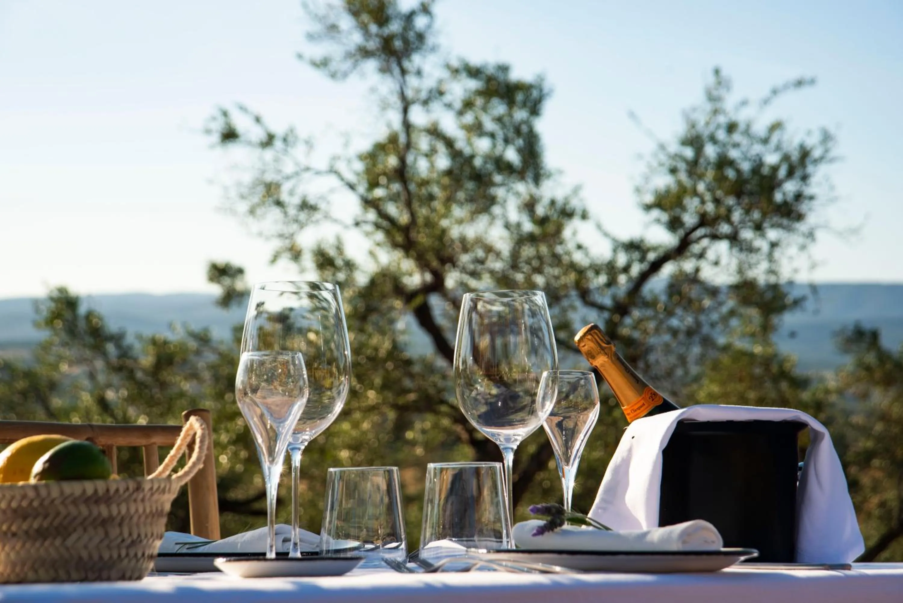 Off site in Hábitat Cigüeña Negra