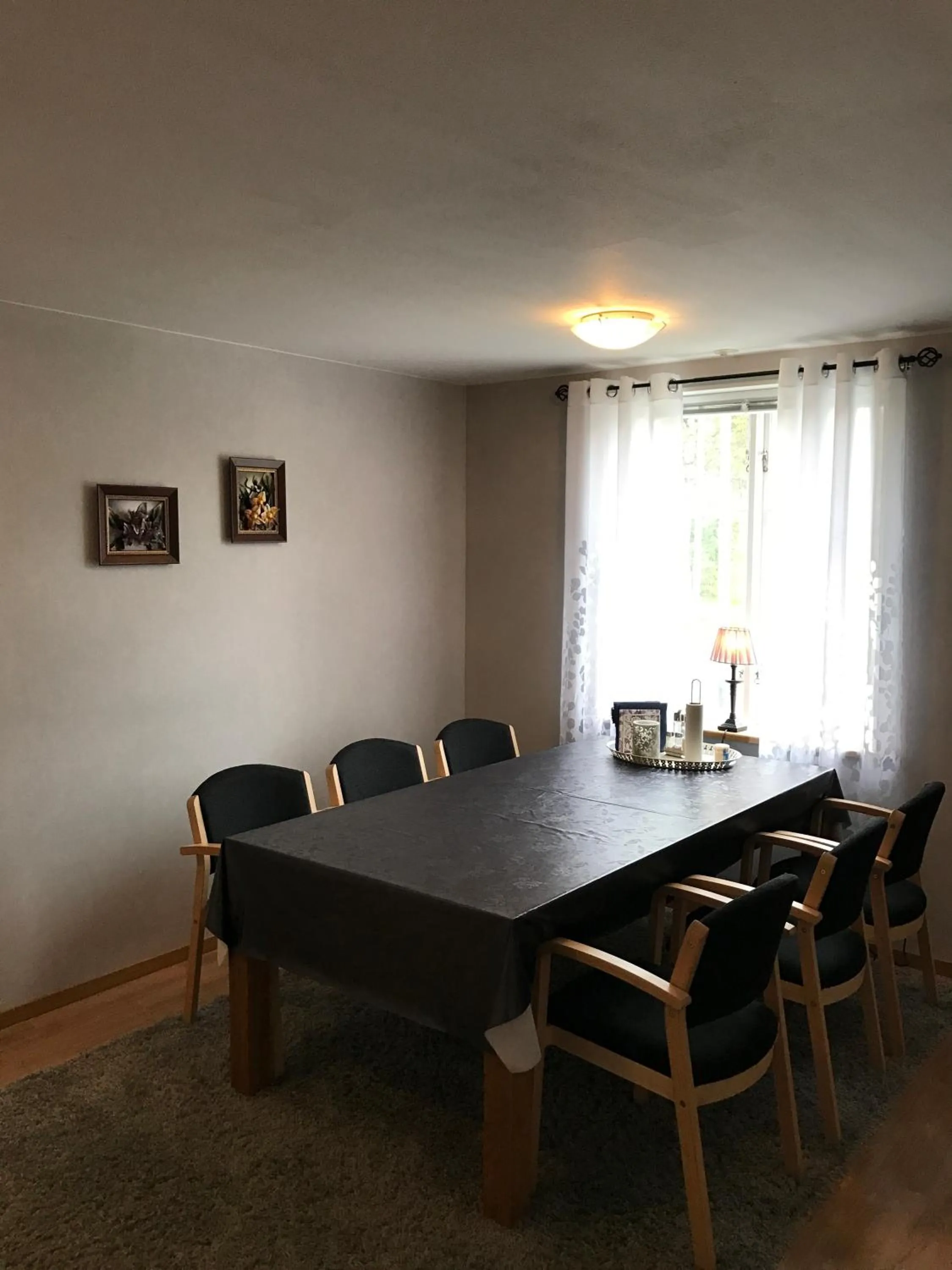 Day in Hedemora Logi