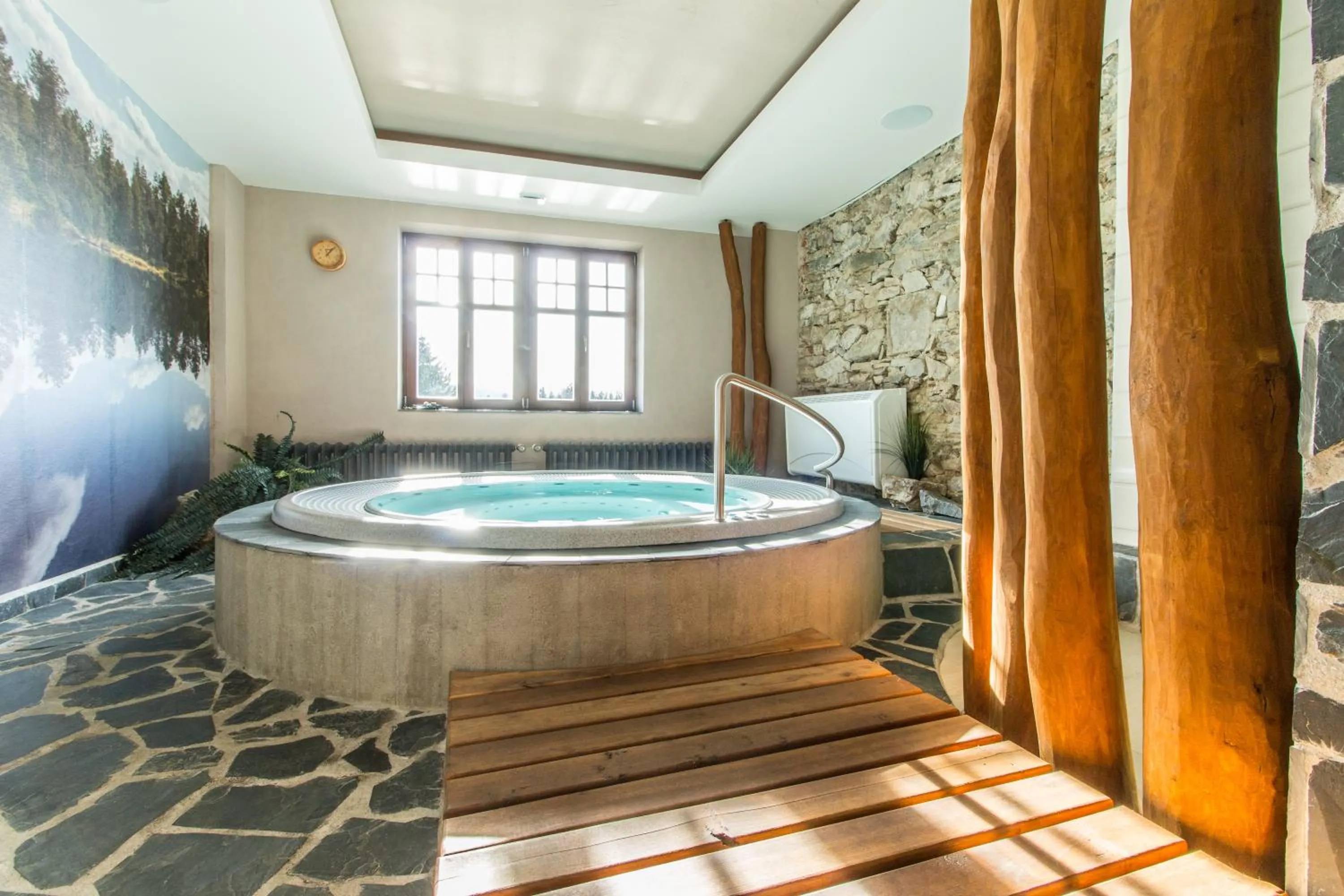 Natural landscape in Hotel Franz