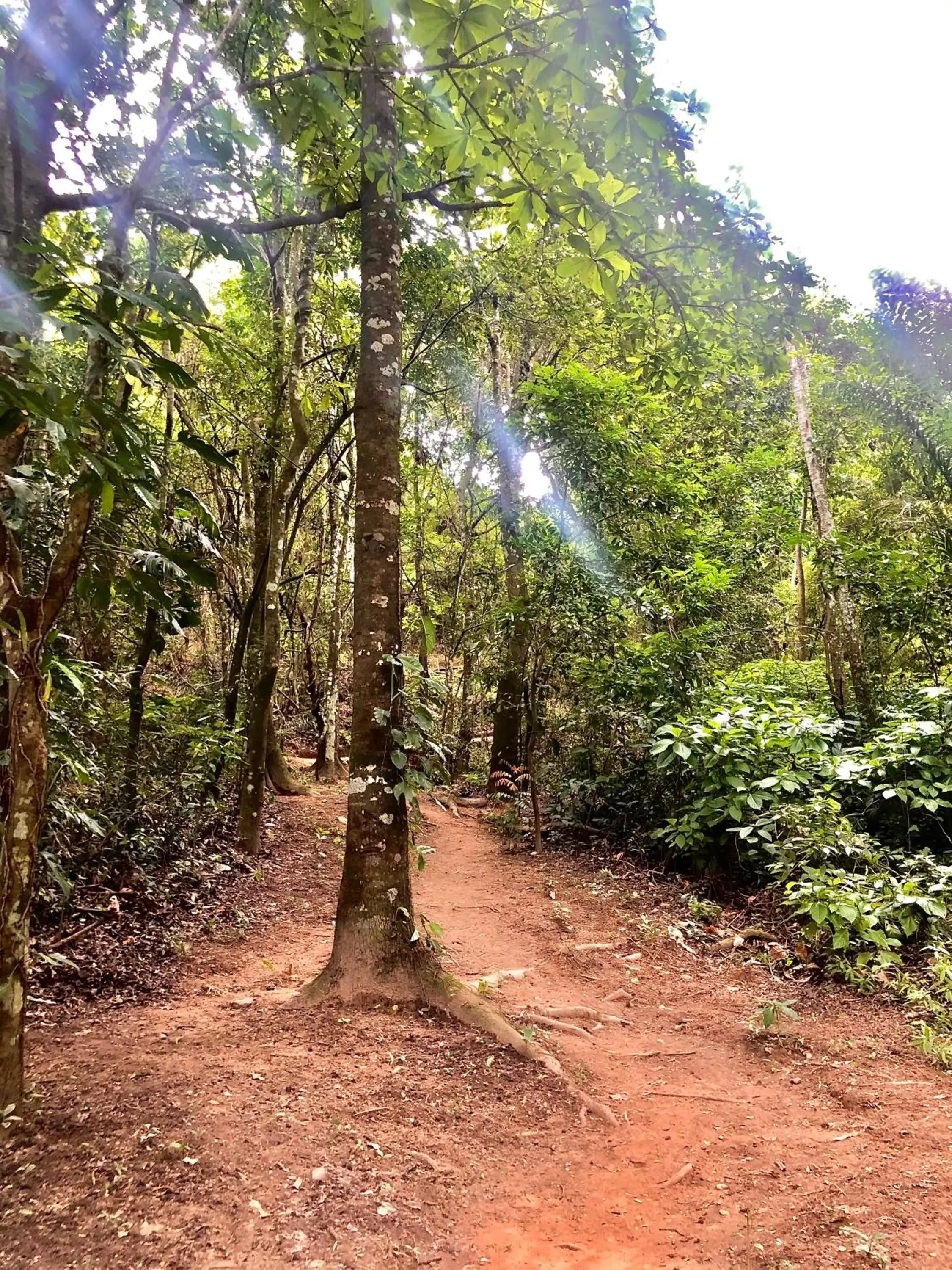 Property building in Hotel Minca - La Casona Property building in Hotel Minca - La Casona